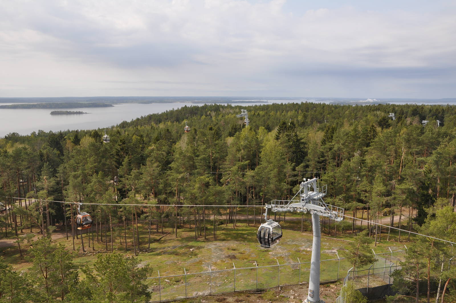 World sensational SAFARI 2011