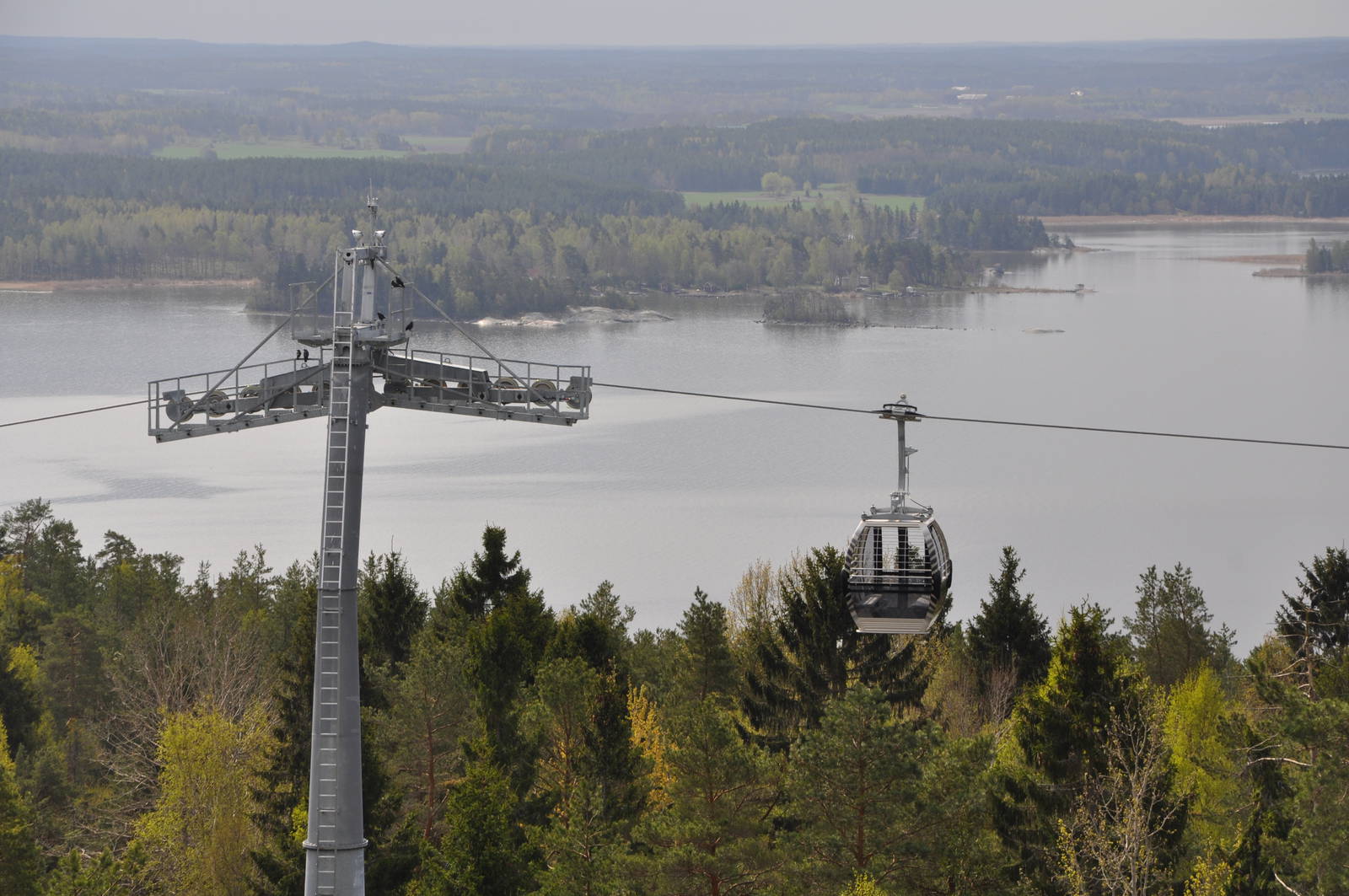 World sensational SAFARI 2011