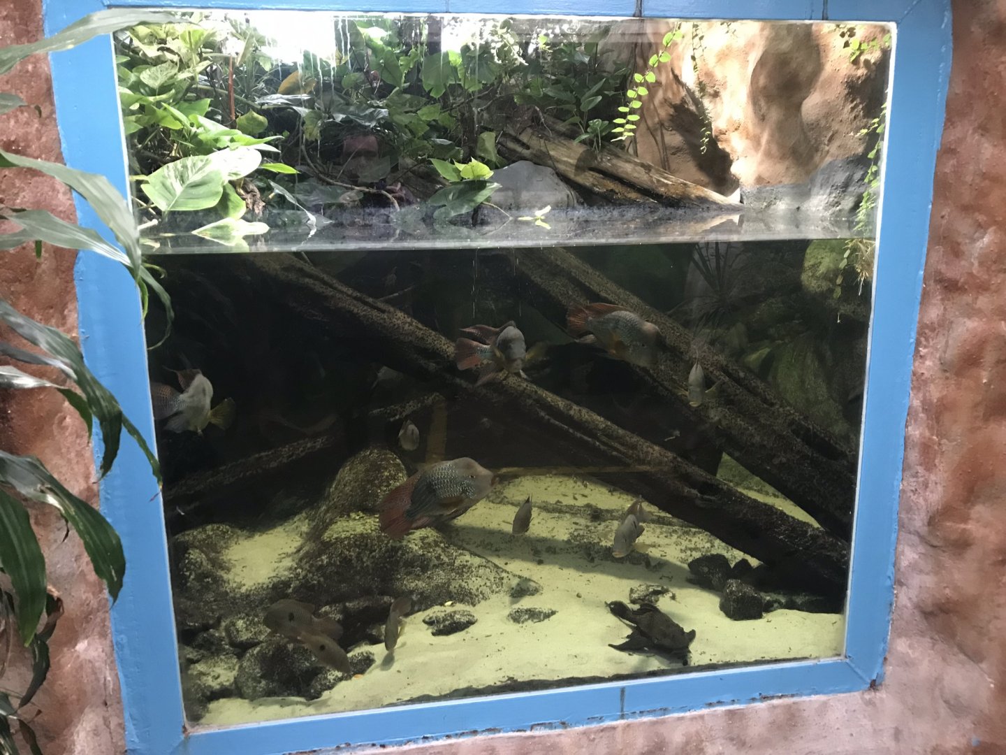 Worlds Apart - Amazonian river exhibit 050819