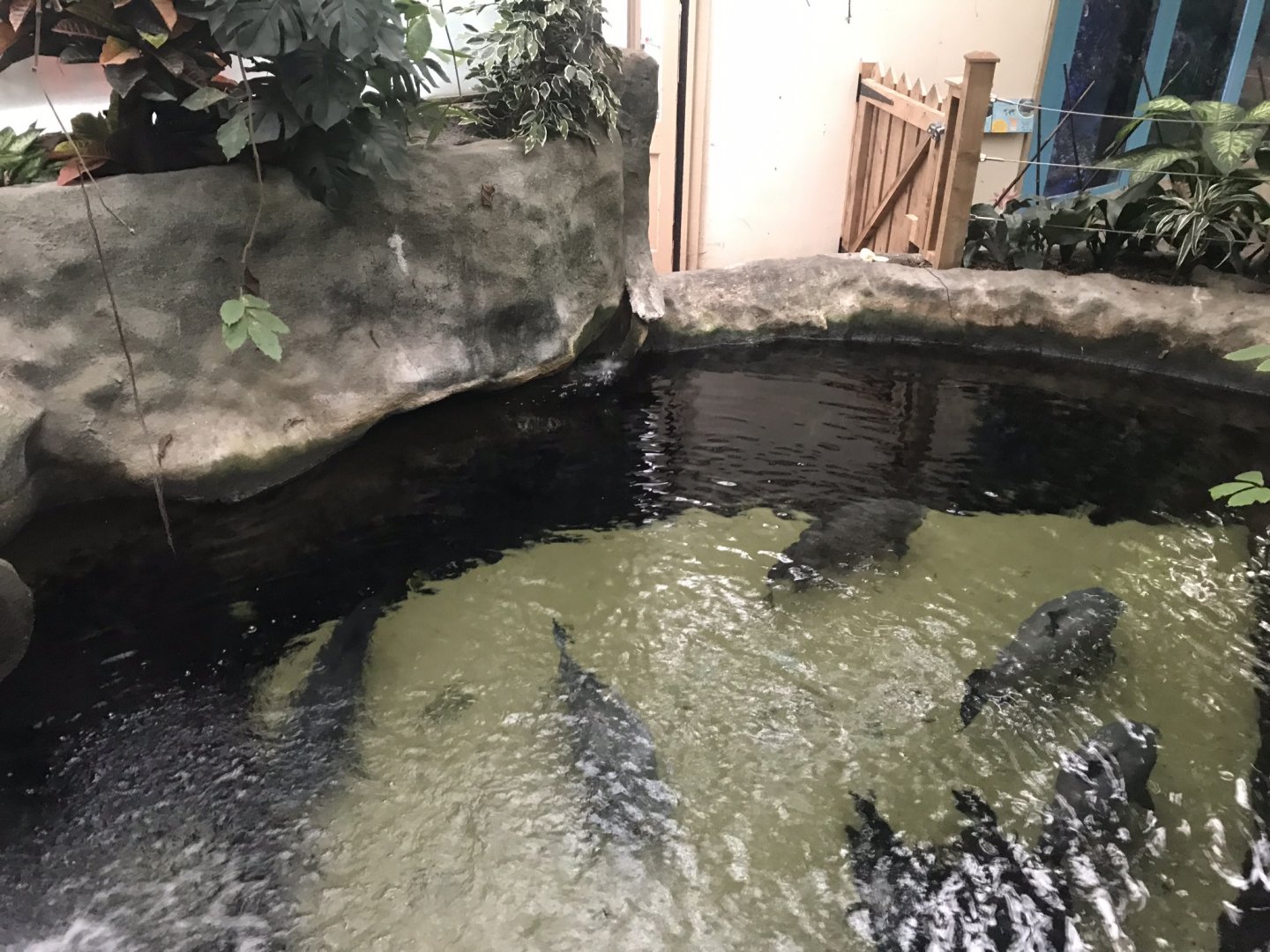 Worlds Apart - aquarium exhibit 050819