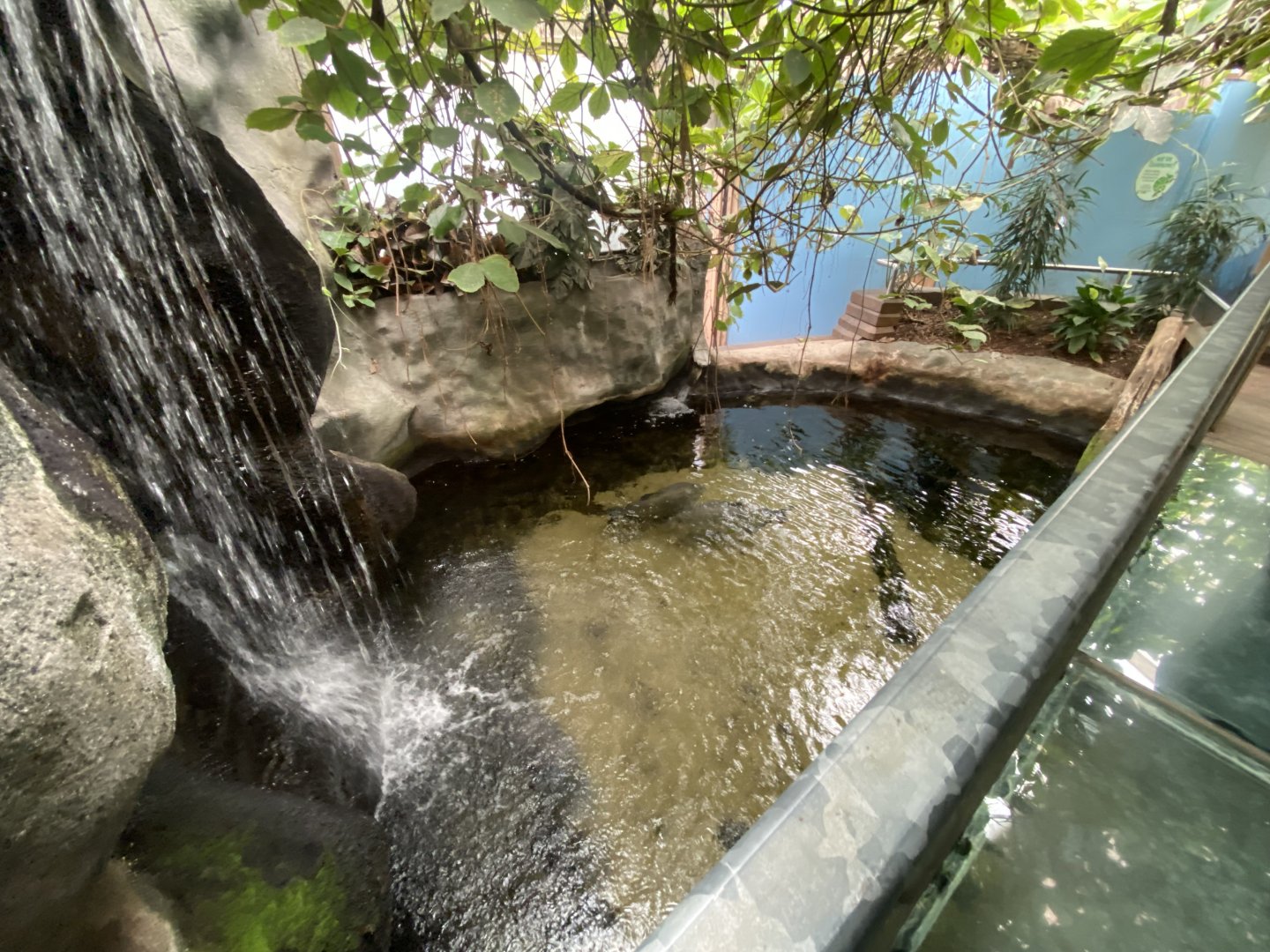 Worlds Apart - Aquatic exhibit 110925