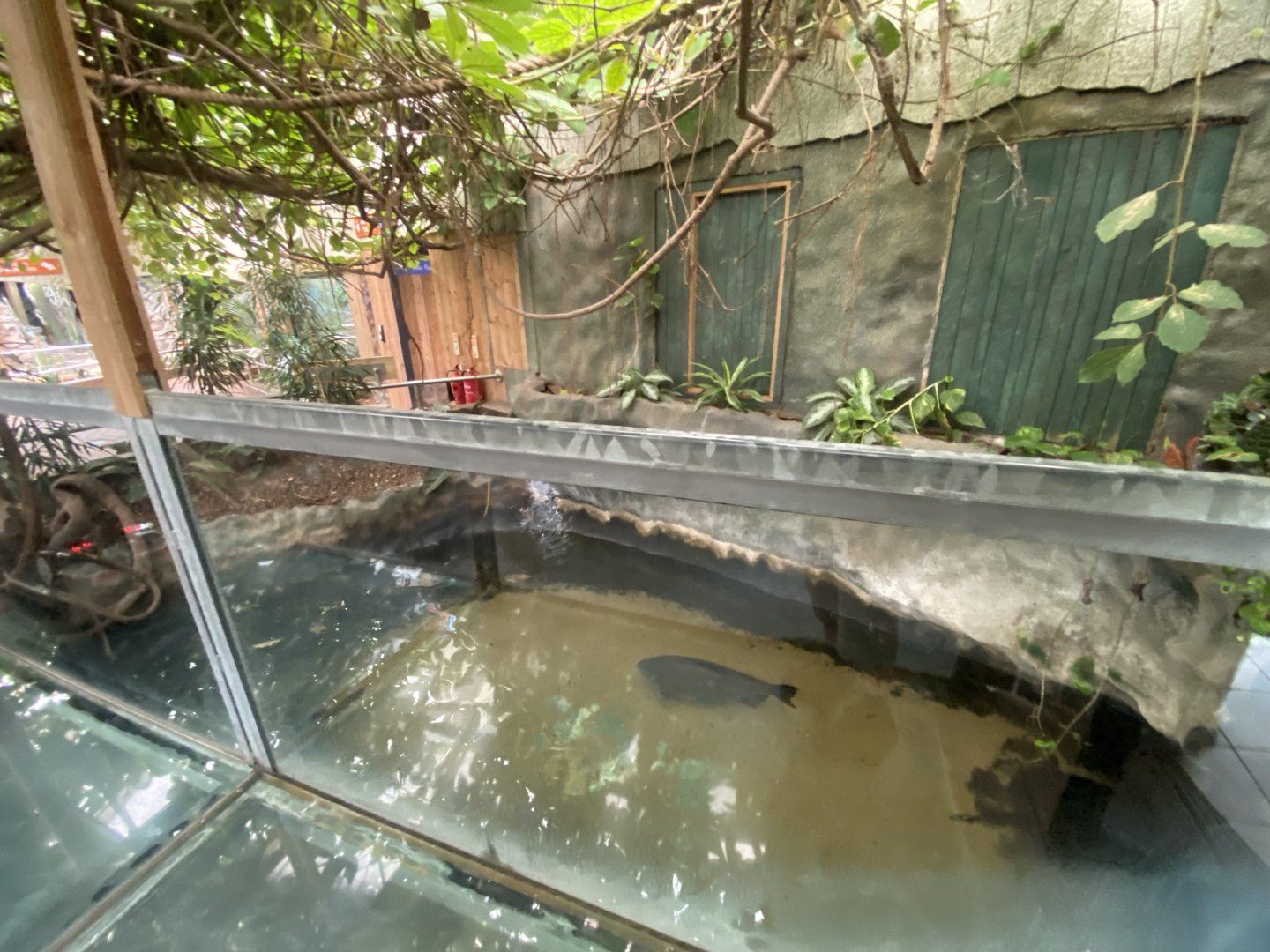 Worlds Apart - Aquatic exhibit 110925