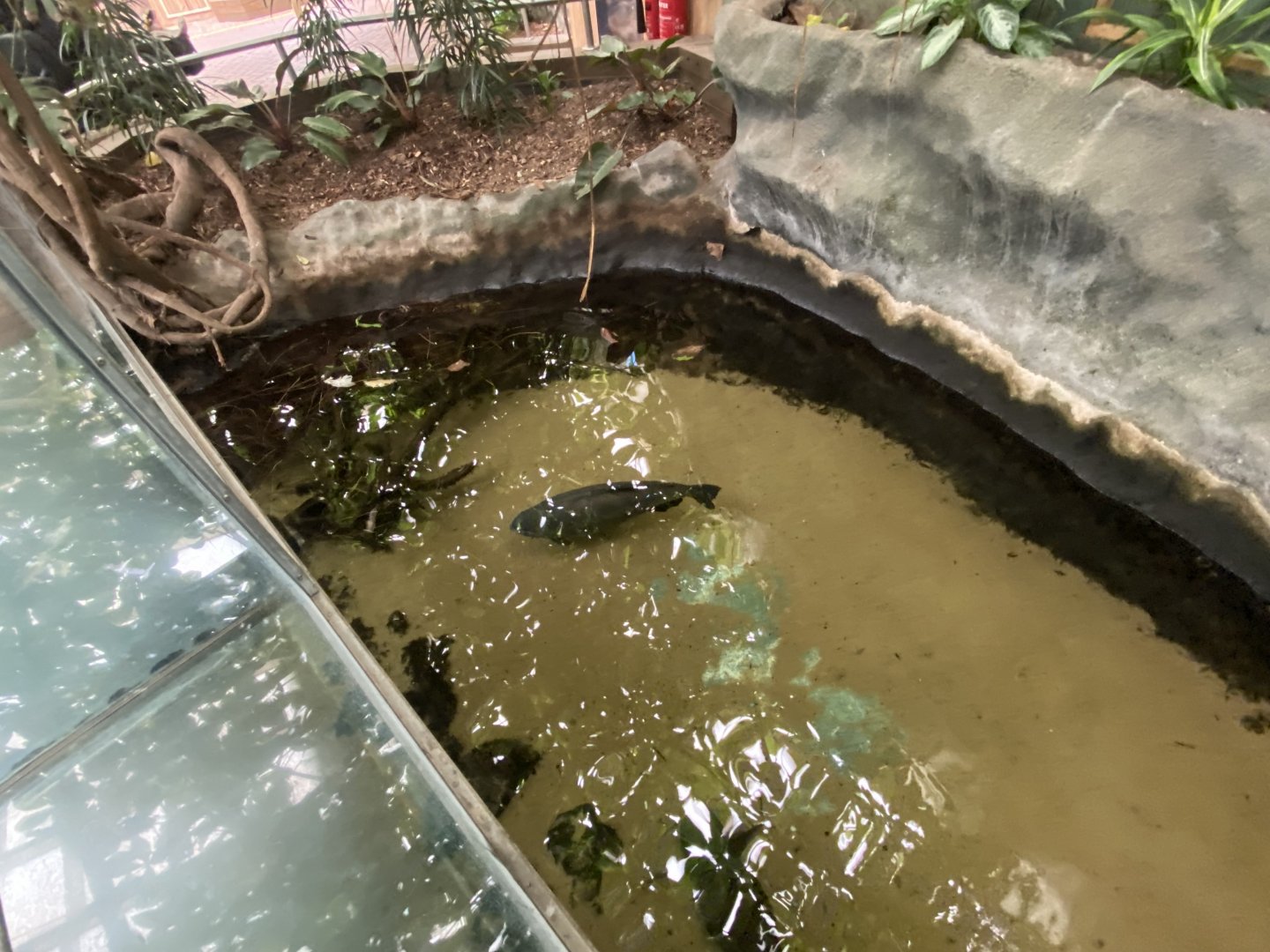 Worlds Apart - Aquatic exhibit 110925