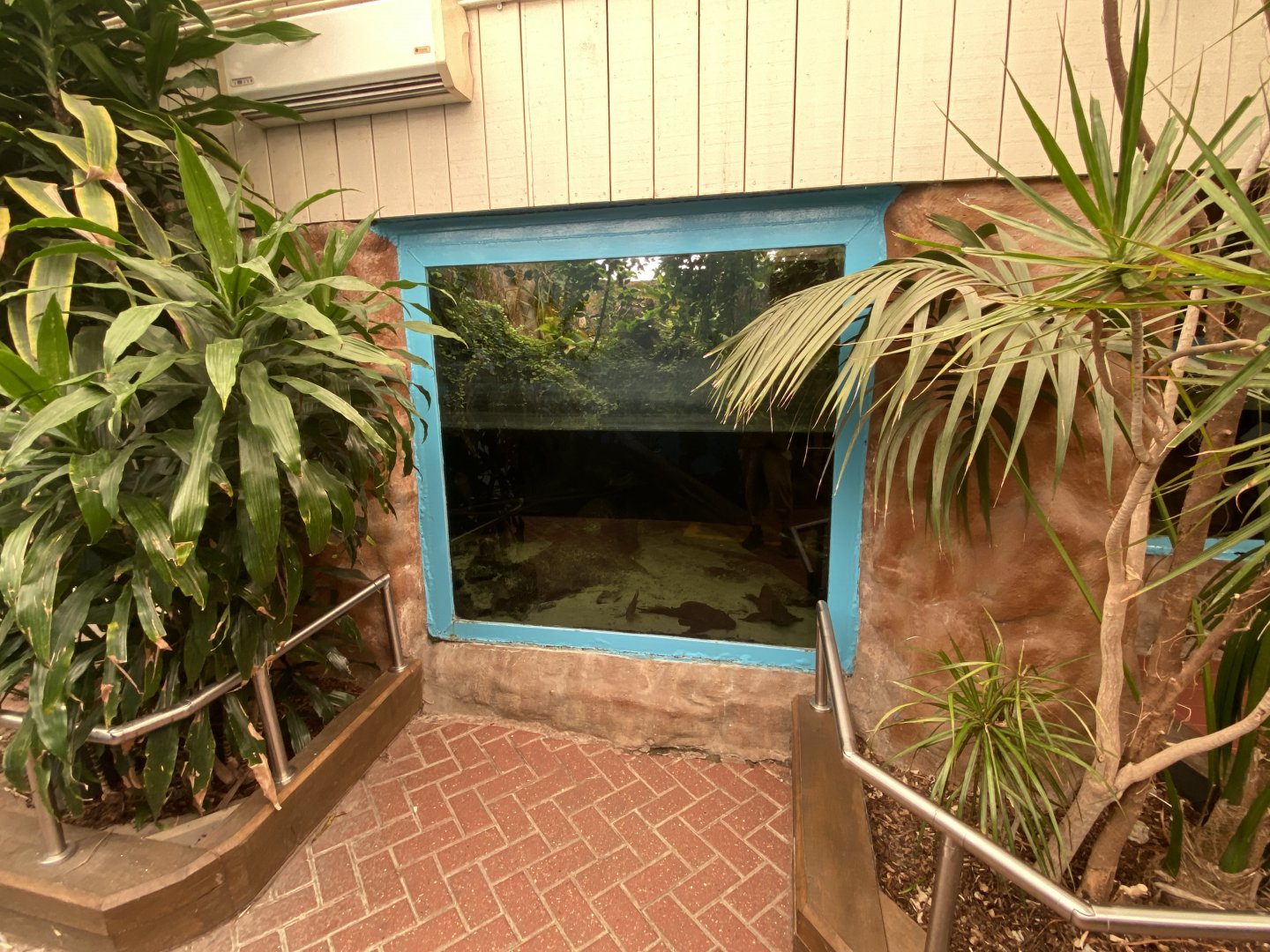 Worlds Apart - Aquatic exhibit 110925