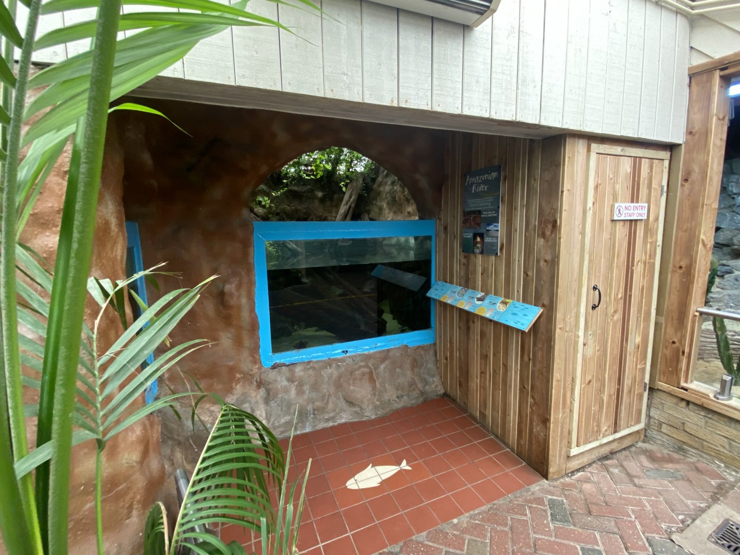 Worlds Apart - Aquatic exhibit 110925