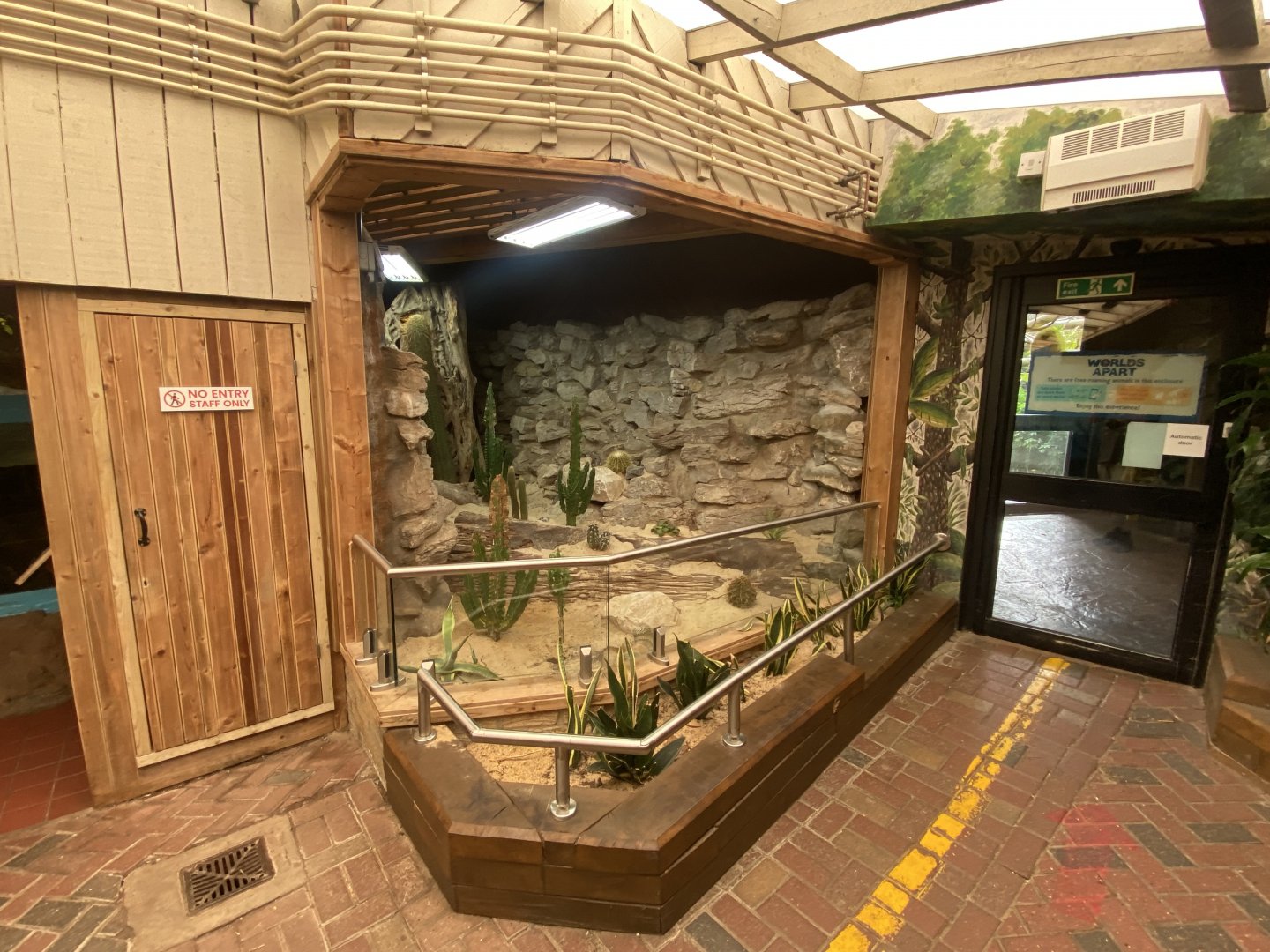 Worlds Apart - Cacti exhibit 110925