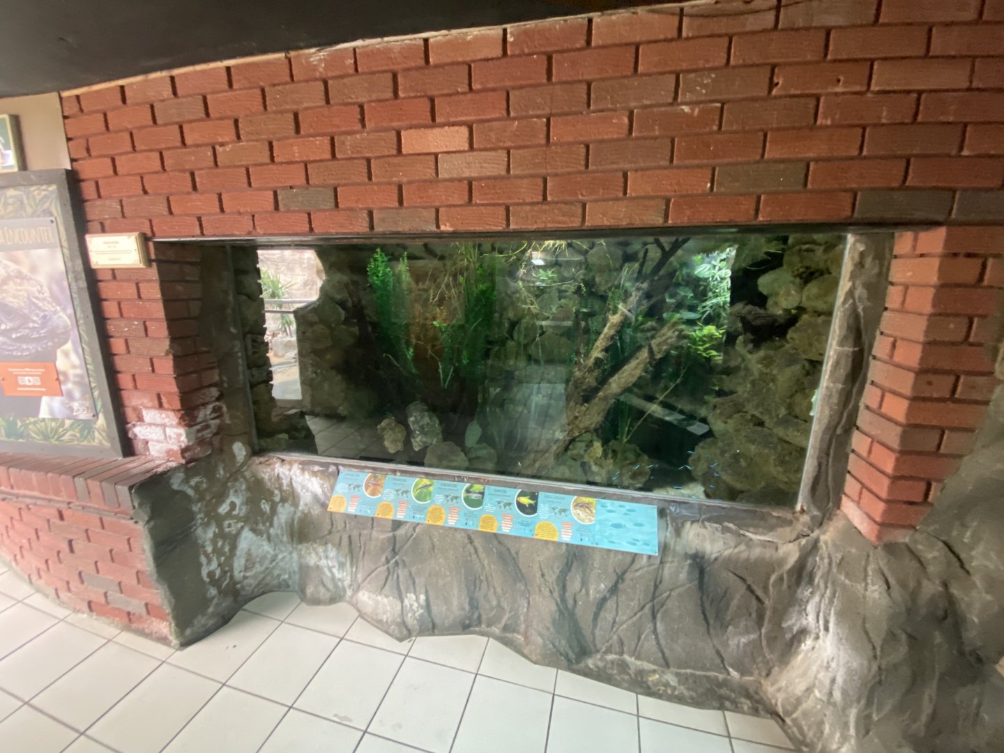 Worlds Apart - Mixed Aquarium exhibit 110925