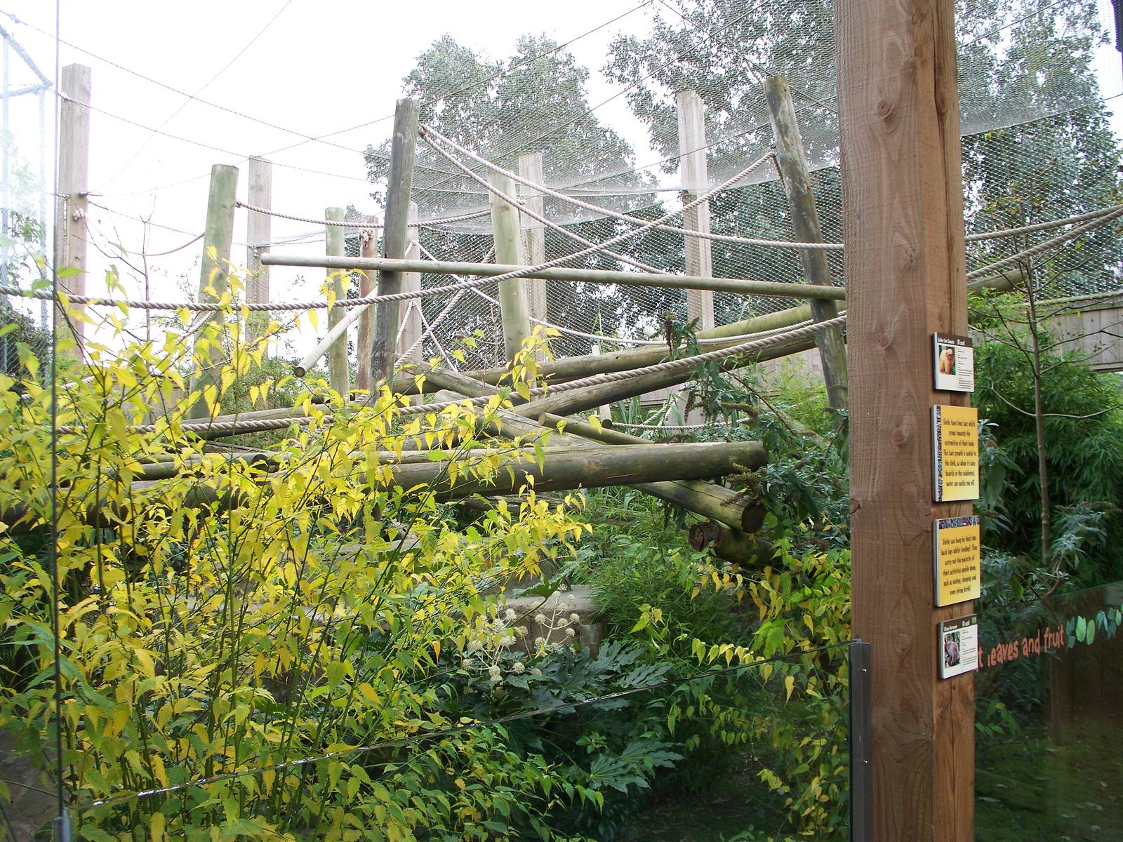 worlds apart other side of the the pathway 29th nov 13