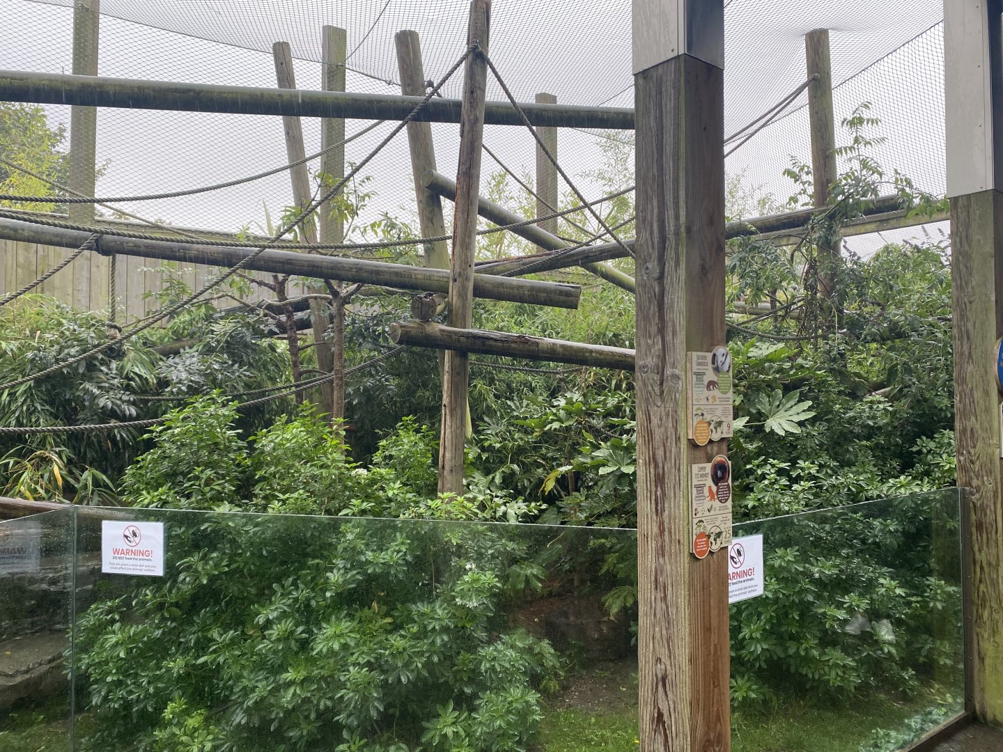 Worlds Apart - Red titi and Southern tamandua area 140921