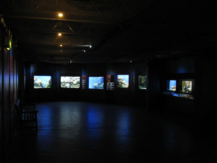 worlds first aquarium