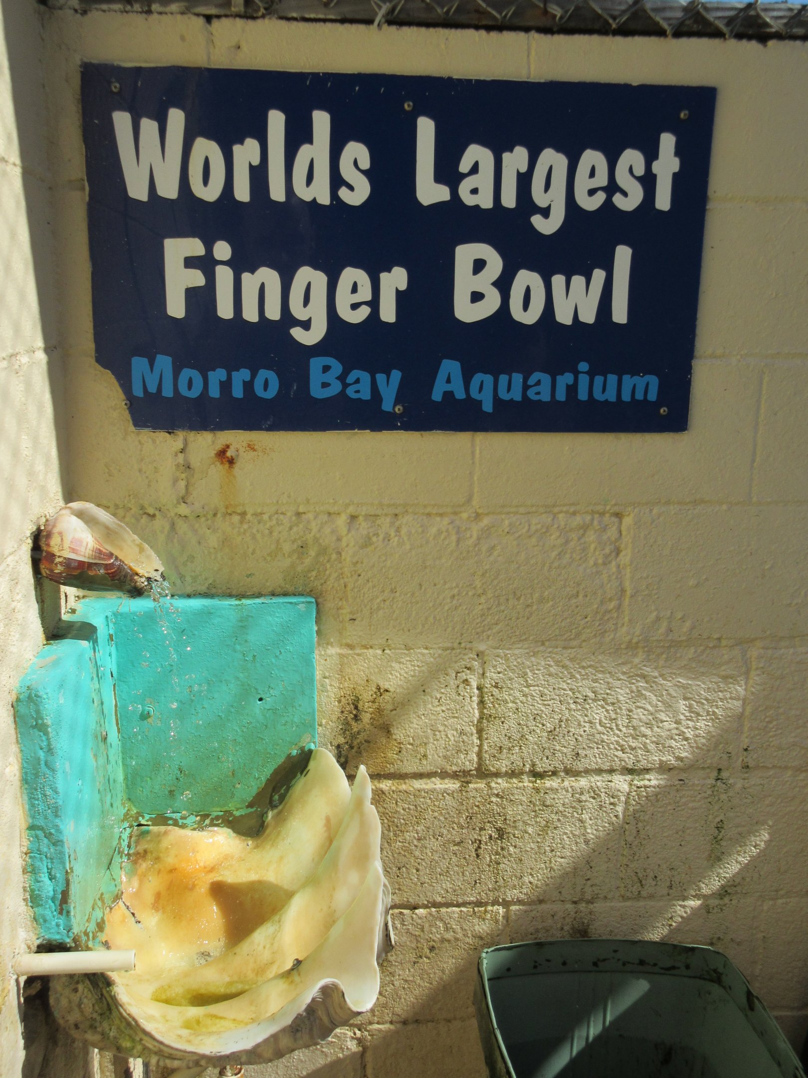 World's Largest Finger Bowl - Bizarre!!!