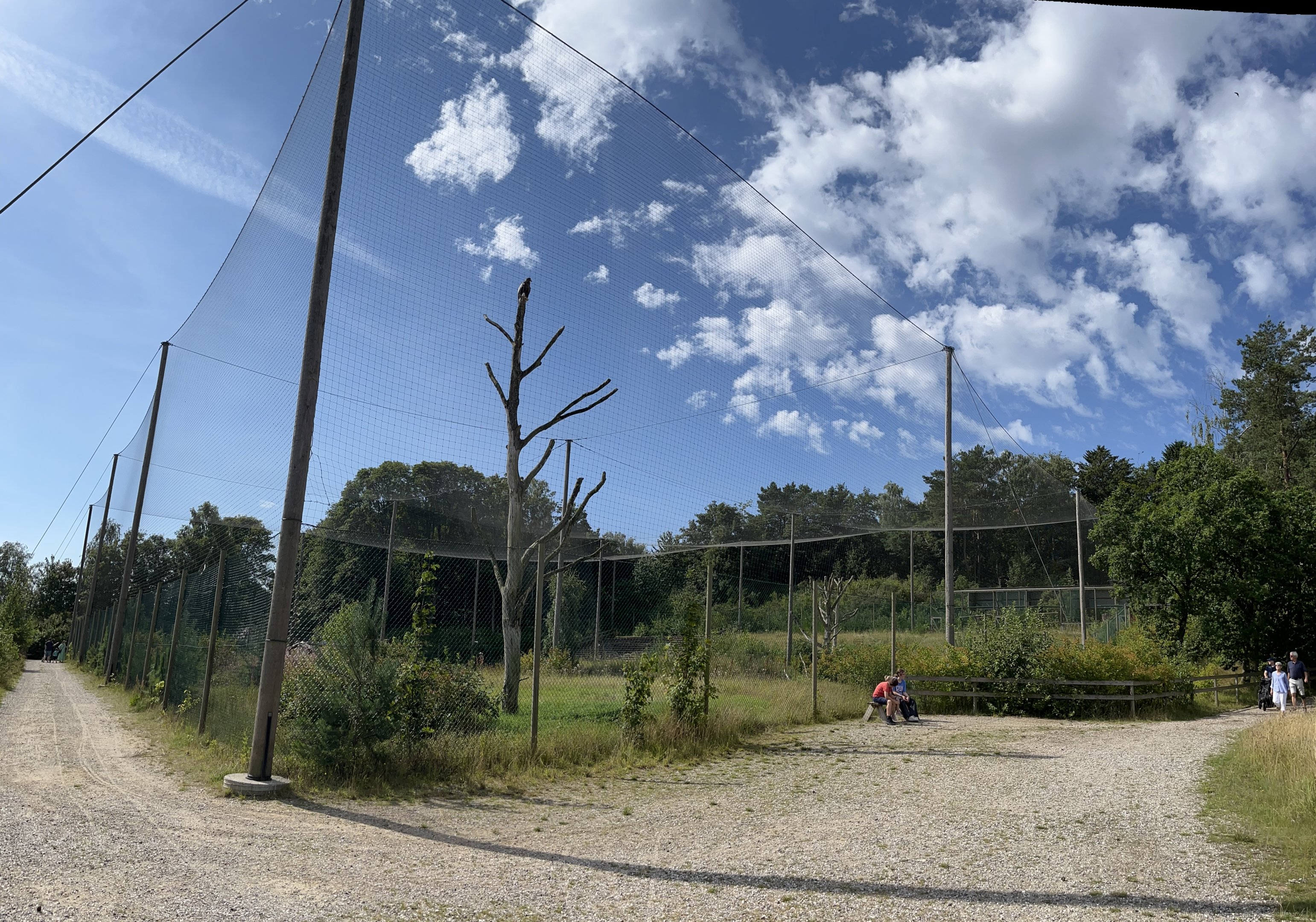 World’s Largest Steller’s Sea Eagle Aviary