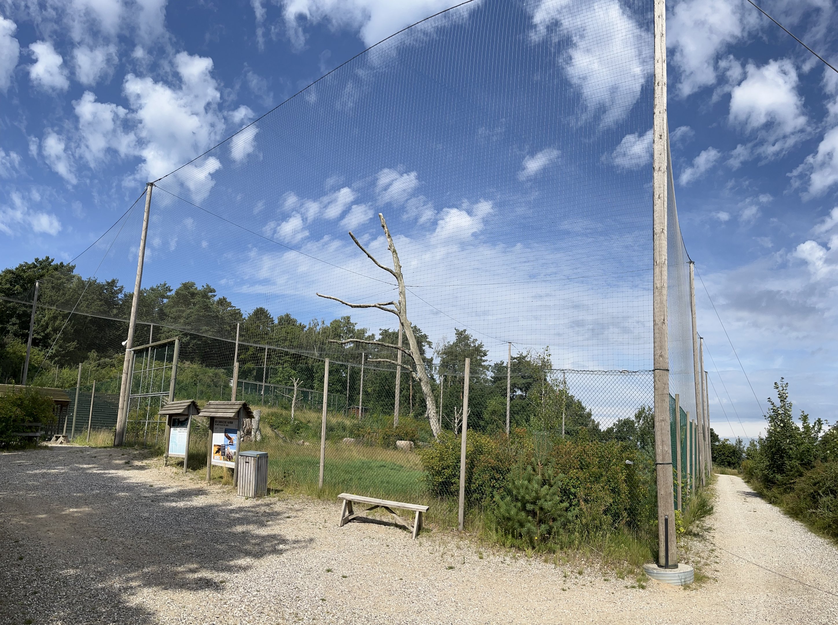 World’s Largest Steller’s Sea Eagle Aviary