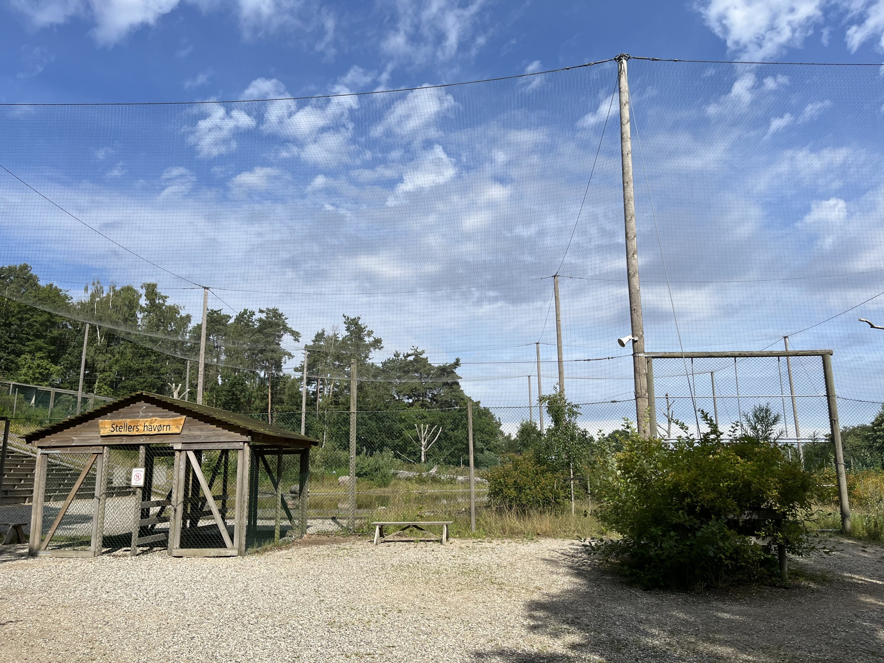 World’s Largest Steller’s Sea Eagle Aviary