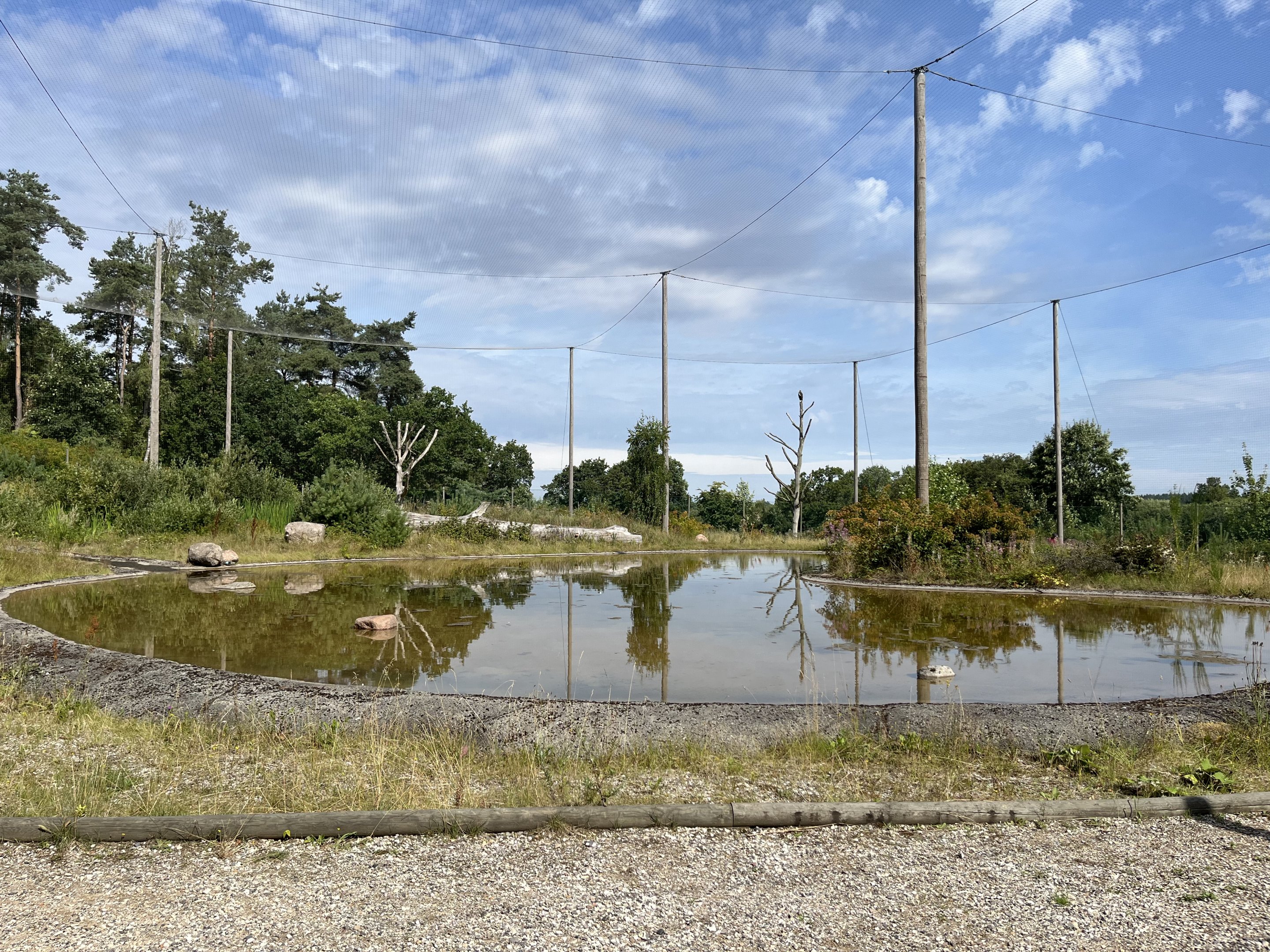 World’s Largest Steller’s Sea Eagle Aviary