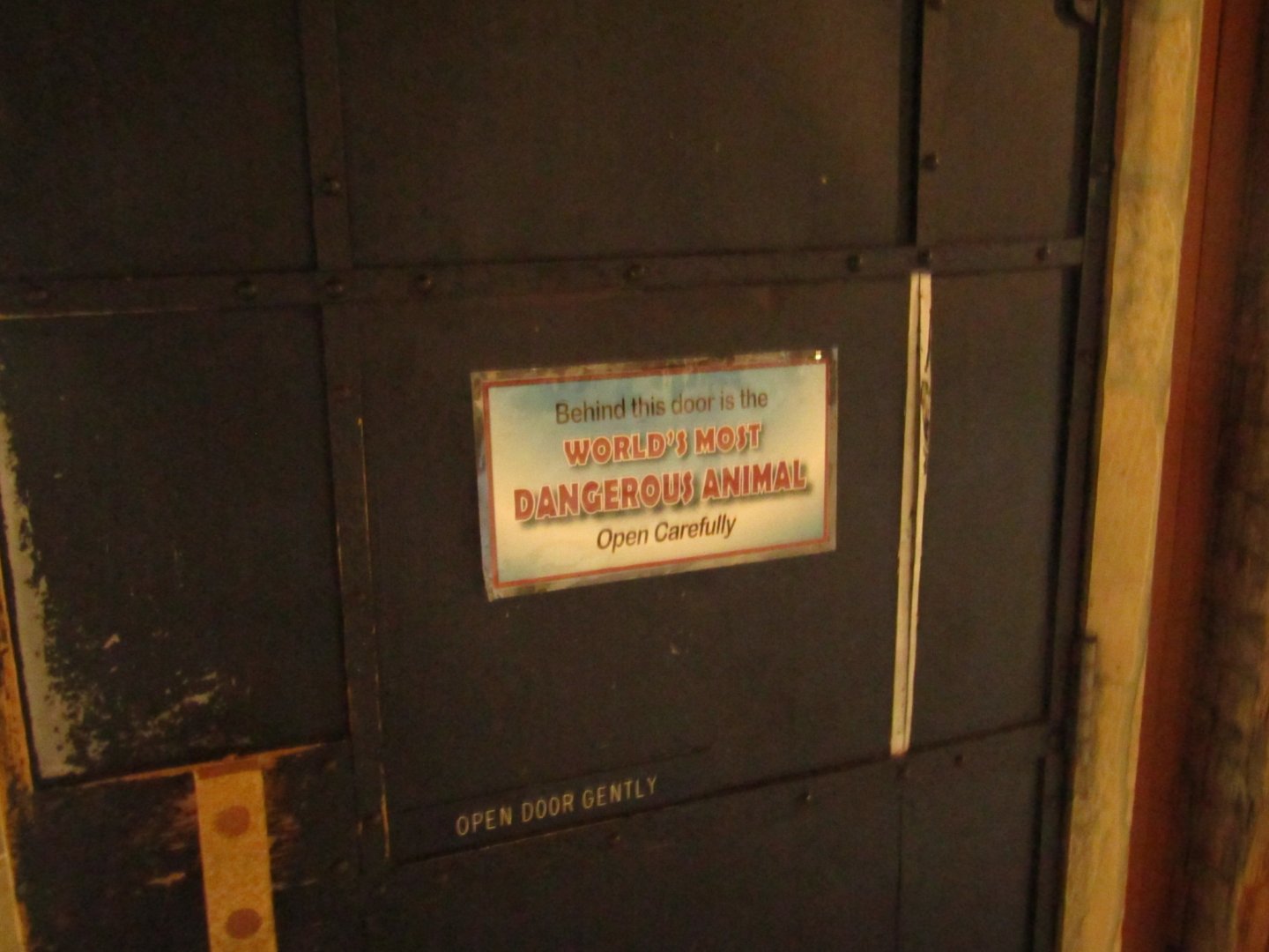 "World's Most Dangerous Animal" Display