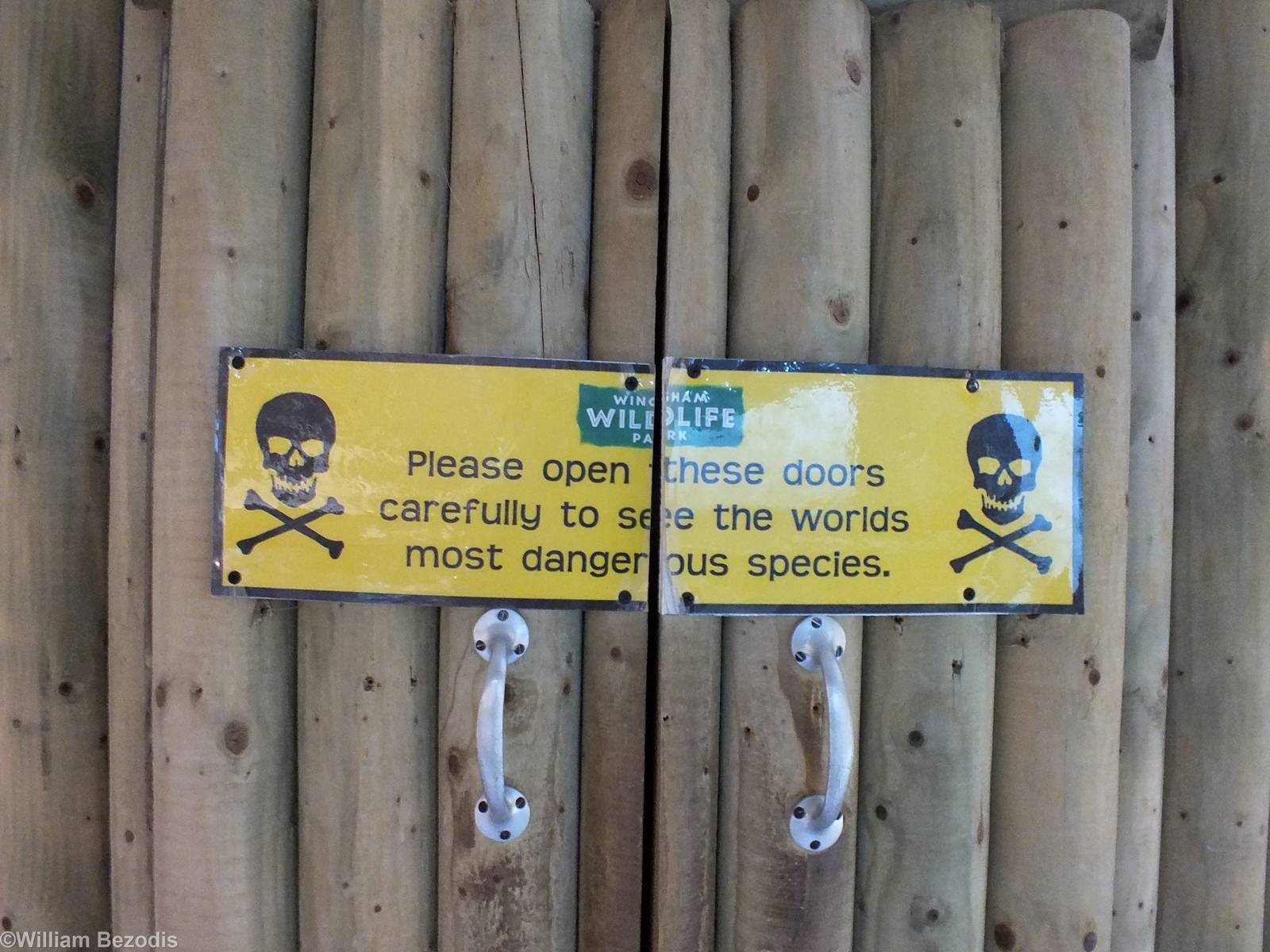 World's Most Dangerous Species