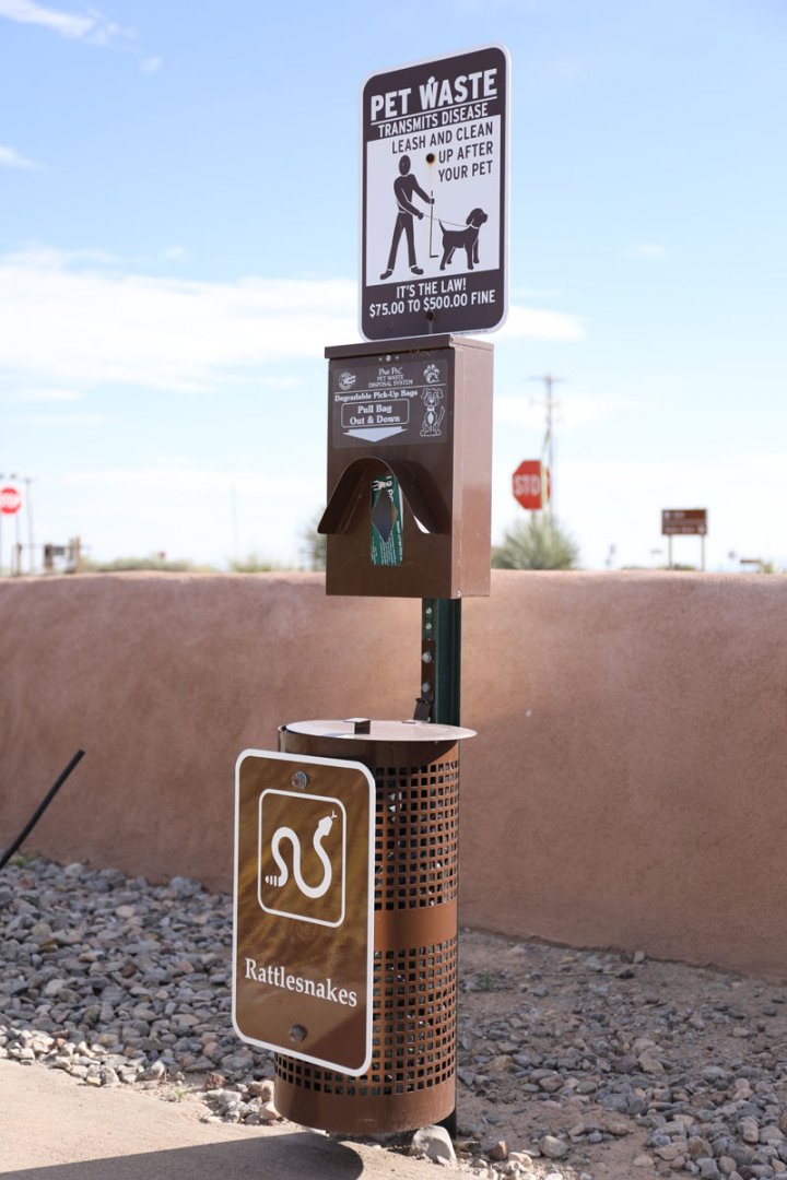 World's smallest rattlesnake exhibit