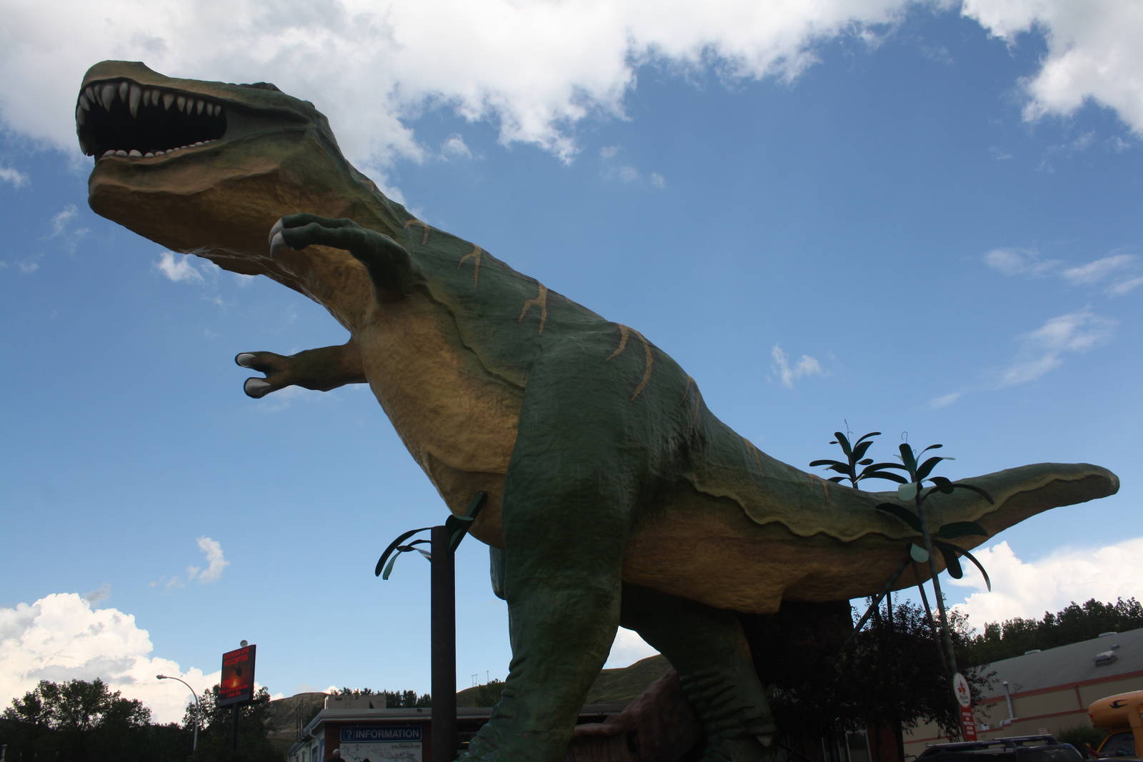 World's Tallest Dinosaur (downtown Drumheller) - for $3 you can climb into