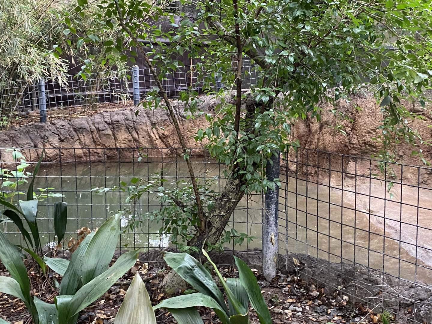 Wortham World Of Primates- Chilean Flamingo Enclosure