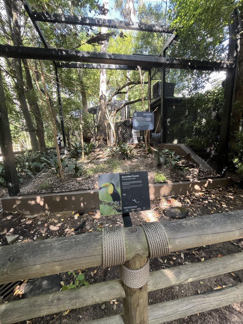 Wortham World of Primates Keel-billed Toucan