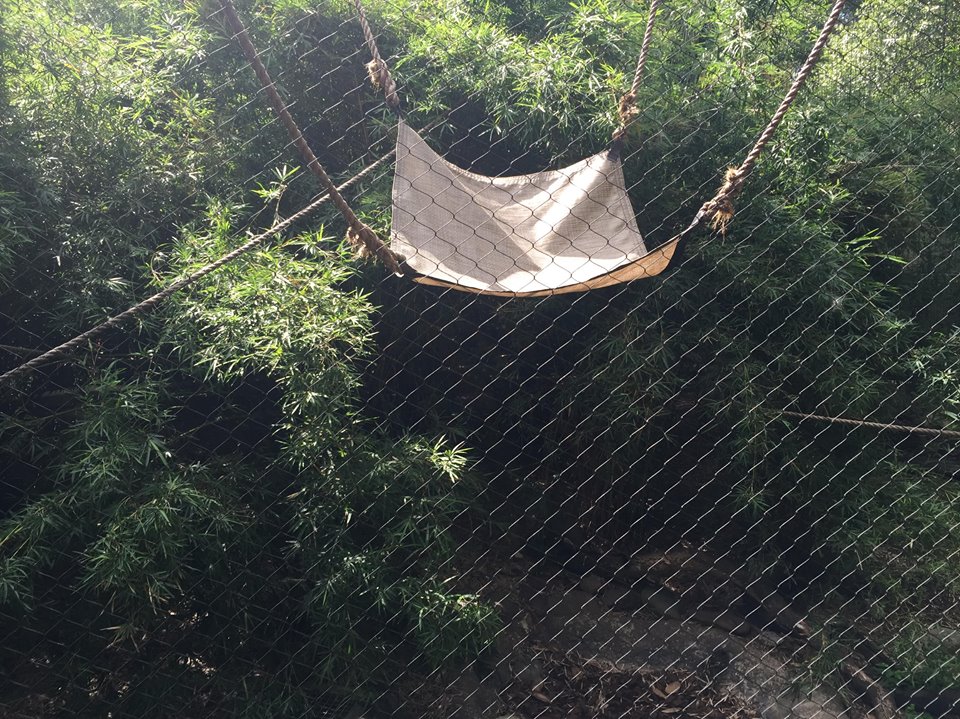 Wortham World of Primates