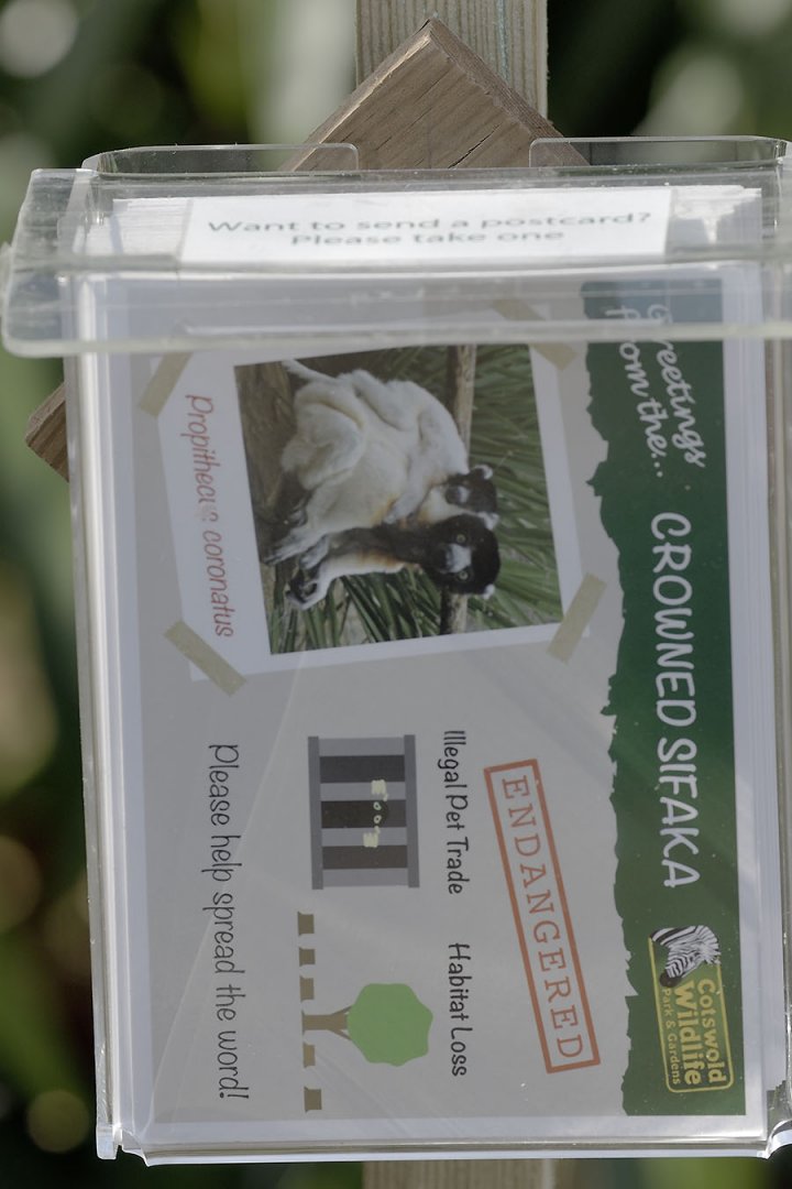 Would you like a free postcard?