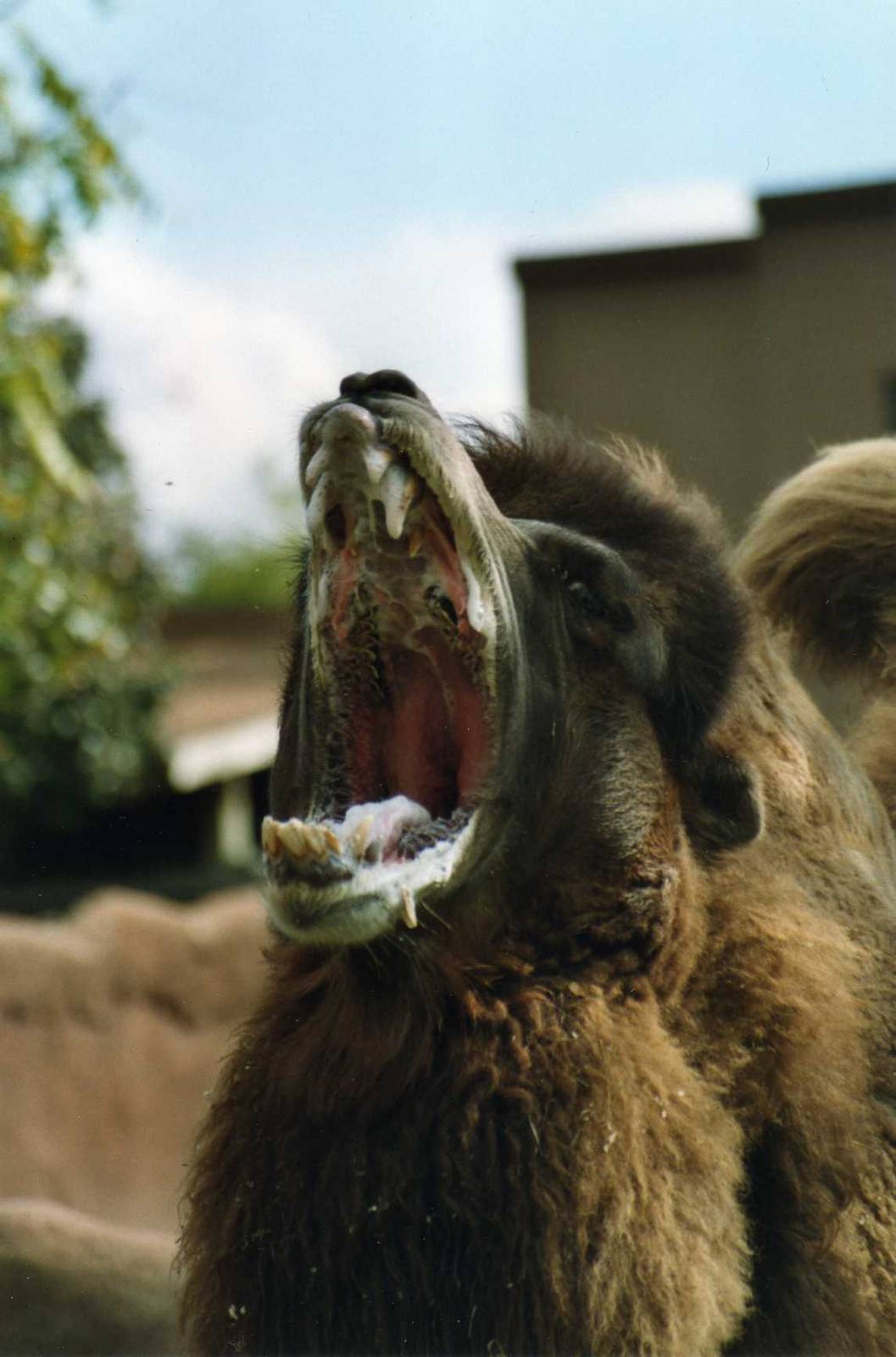 Would you touch these nice Guy ?