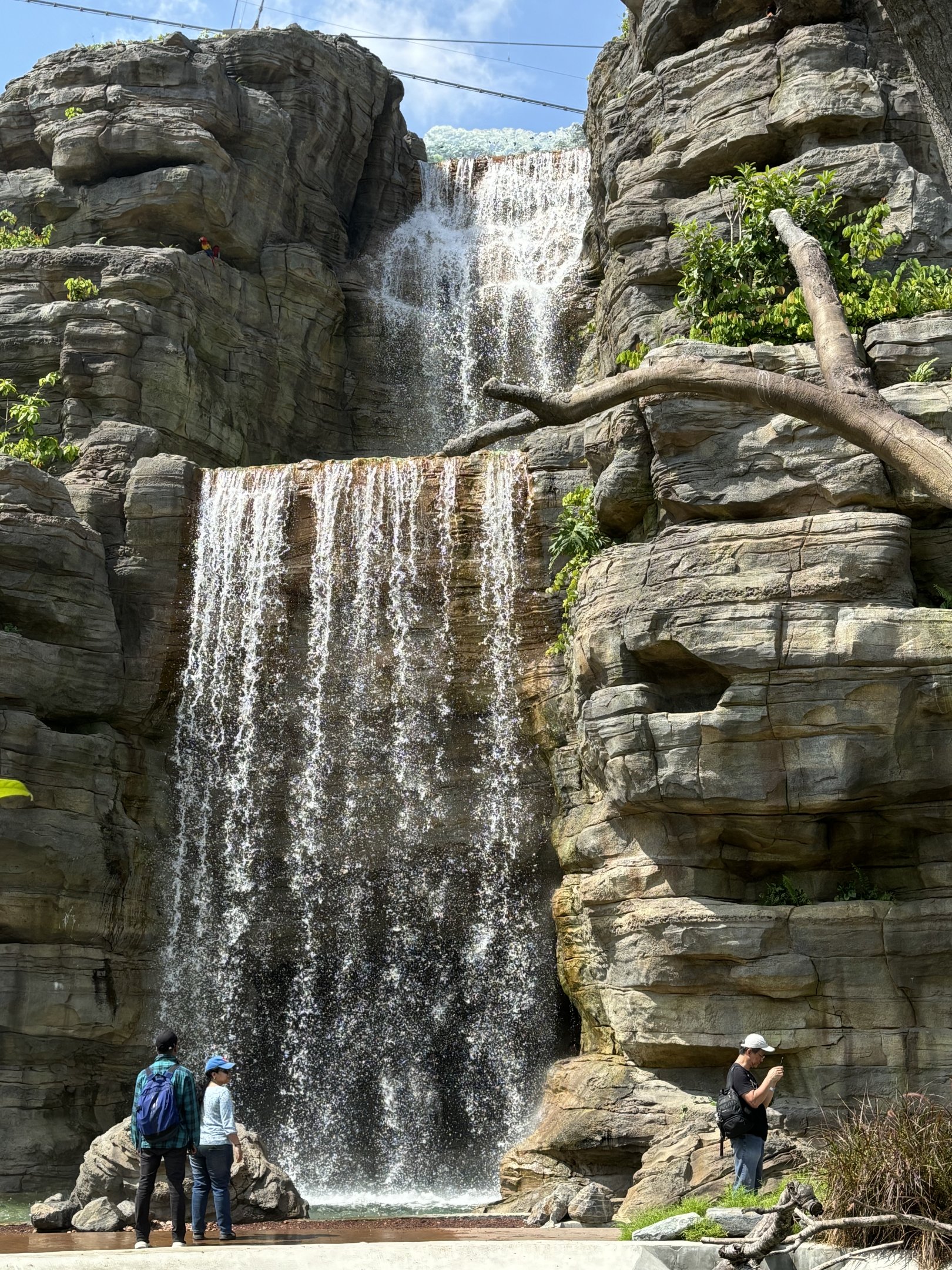 Wow! 3-Acre Crimson Wetlands Aviary