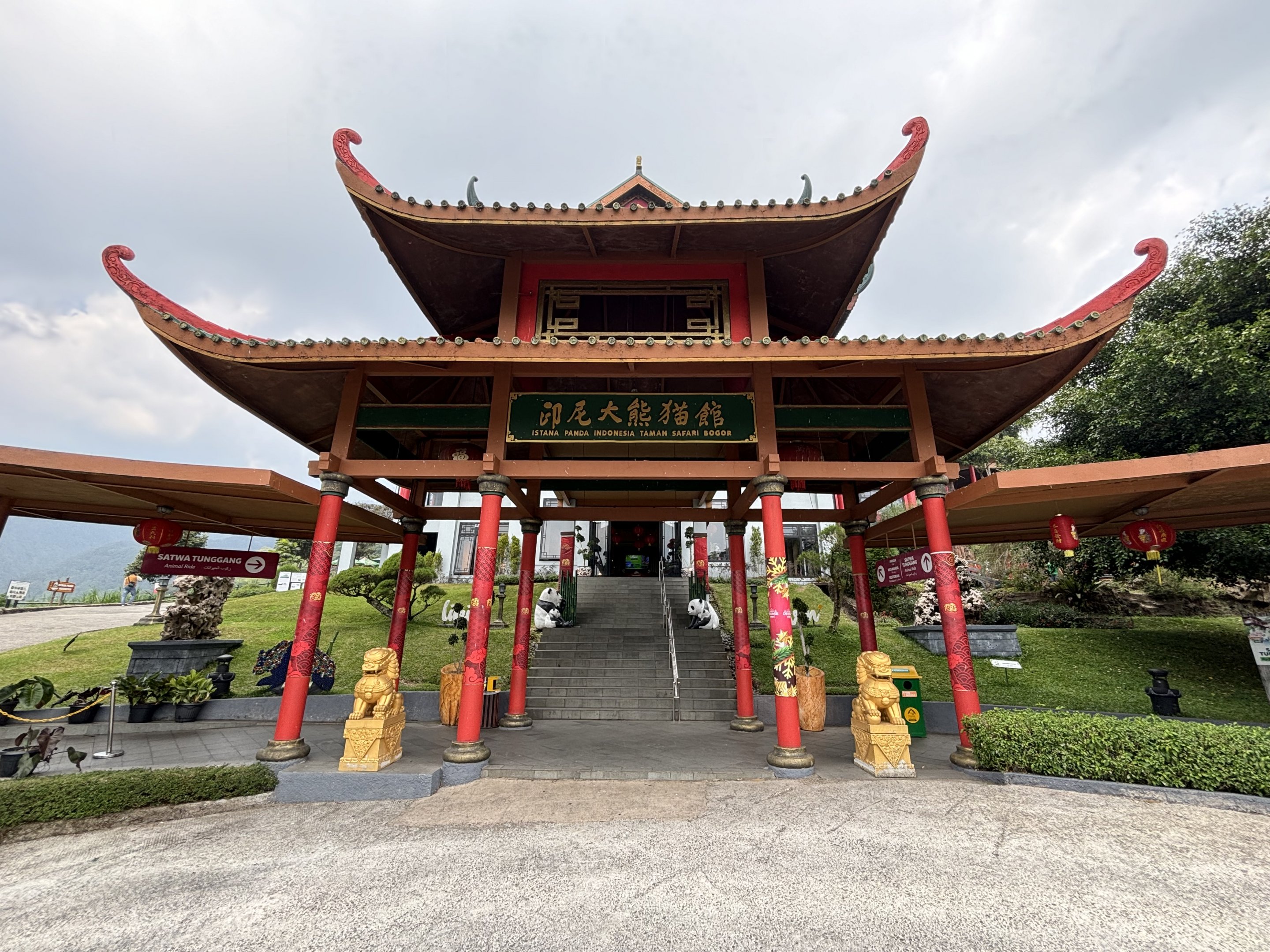 Wow! - Giant Panda Complex