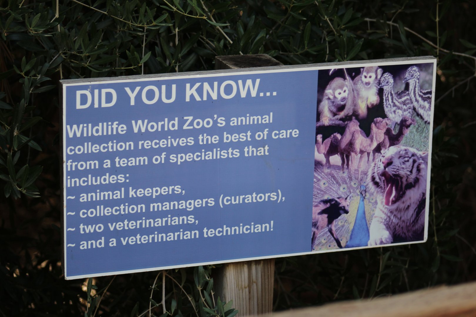 Wow! World Class Care!