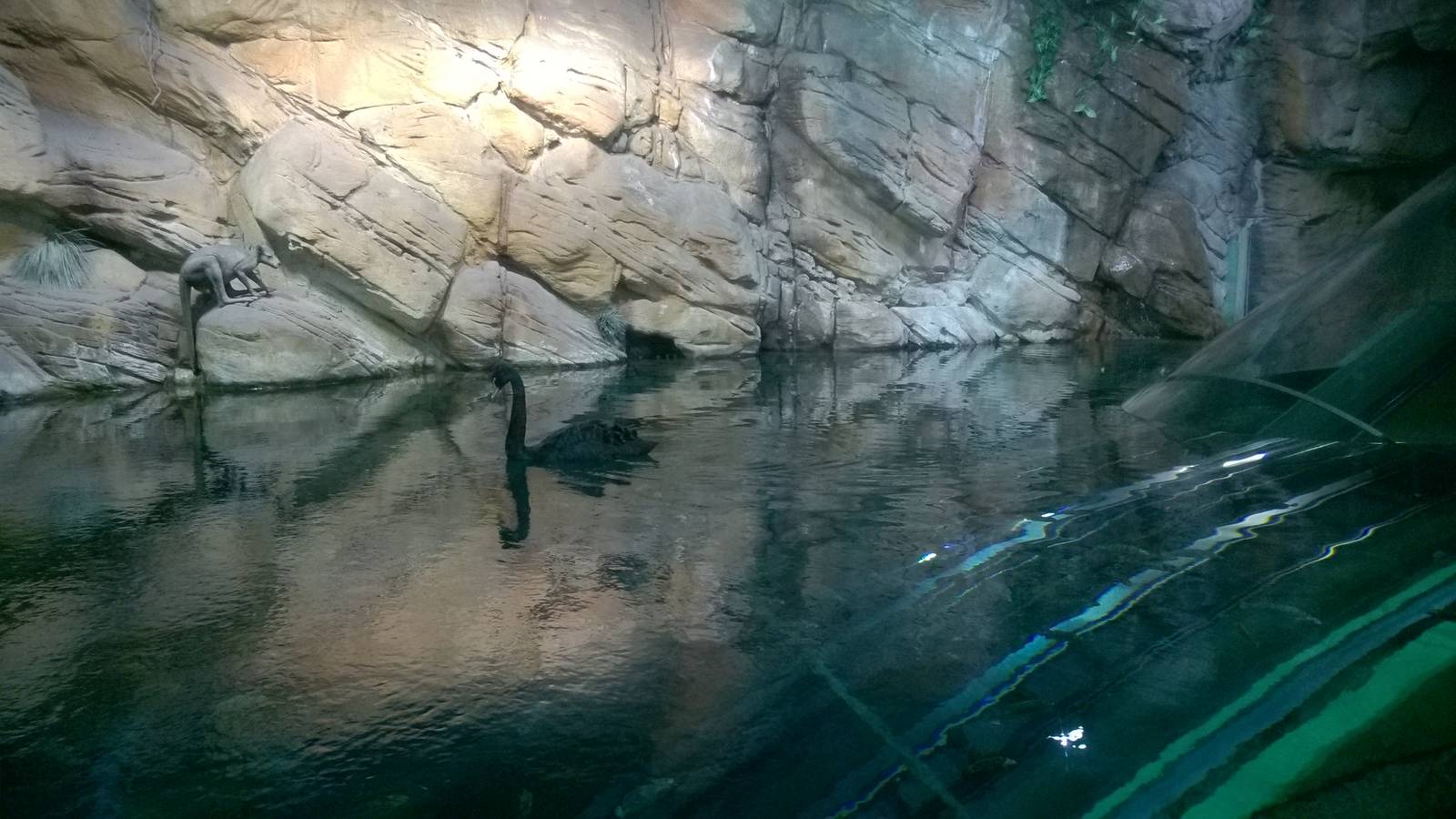 WP_20151115_15_52_30_Smart