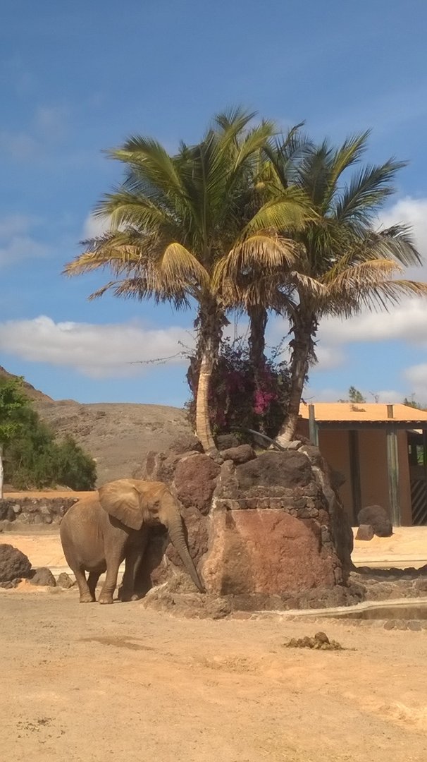 WP_20160225_14_56_01_Pro