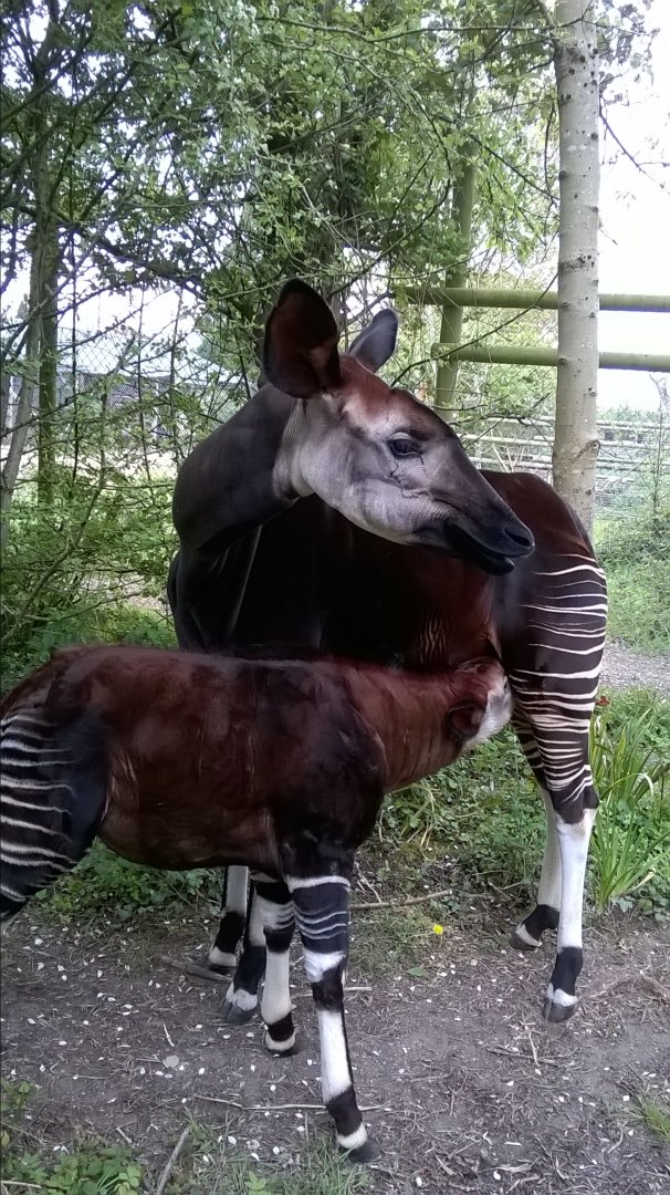 WP_20170429_12_54_17_Pro