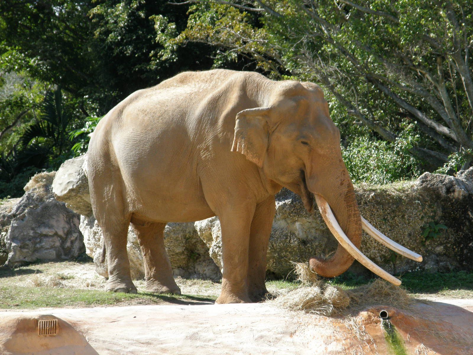 wpalm beach dec08 011