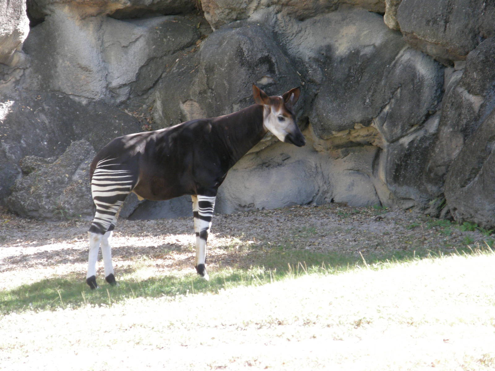 wpalm beach dec08 031