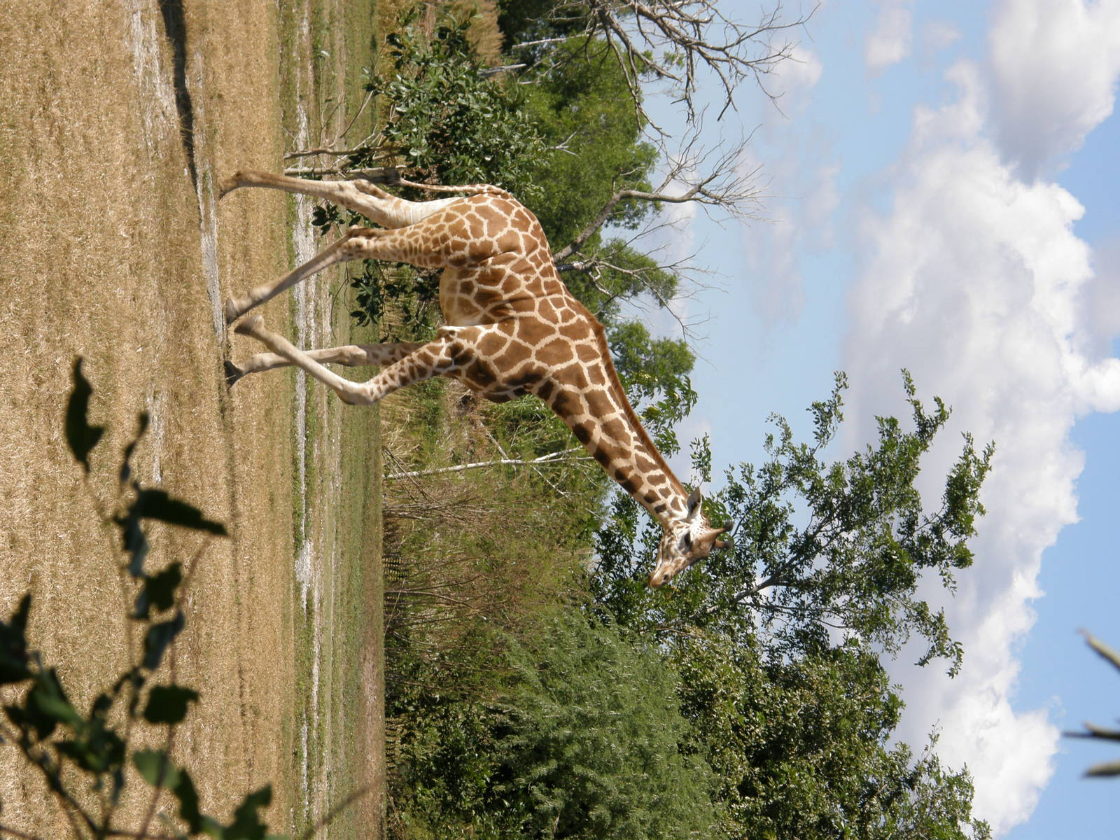 wpalm beach dec08 036