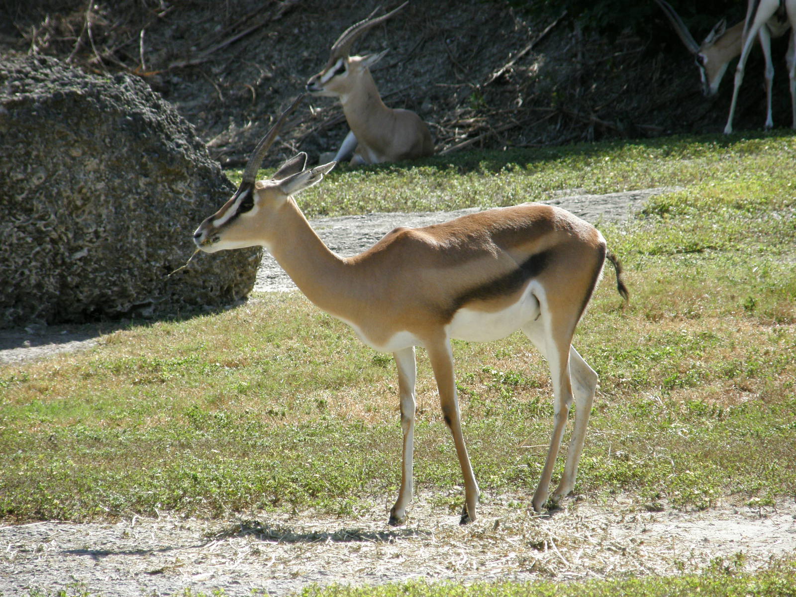 wpalm beach dec08 039