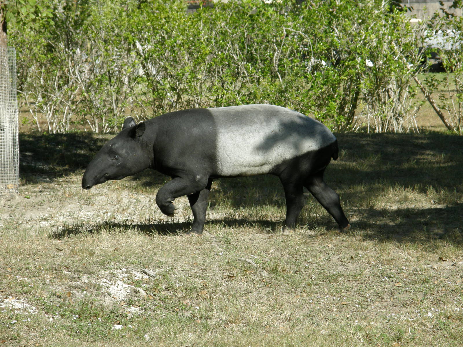 wpalm beach dec08 071