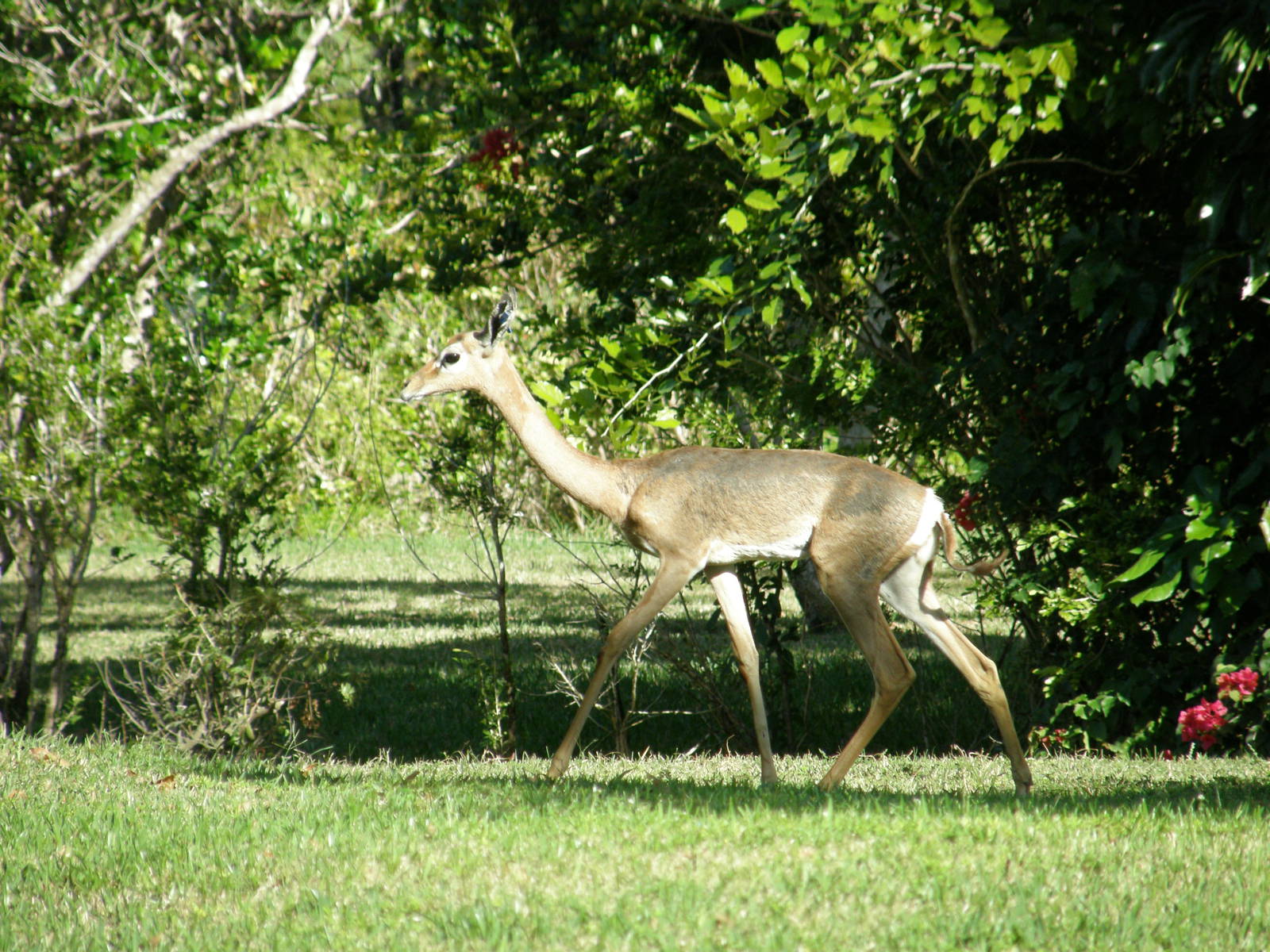 wpalm beach dec08 136