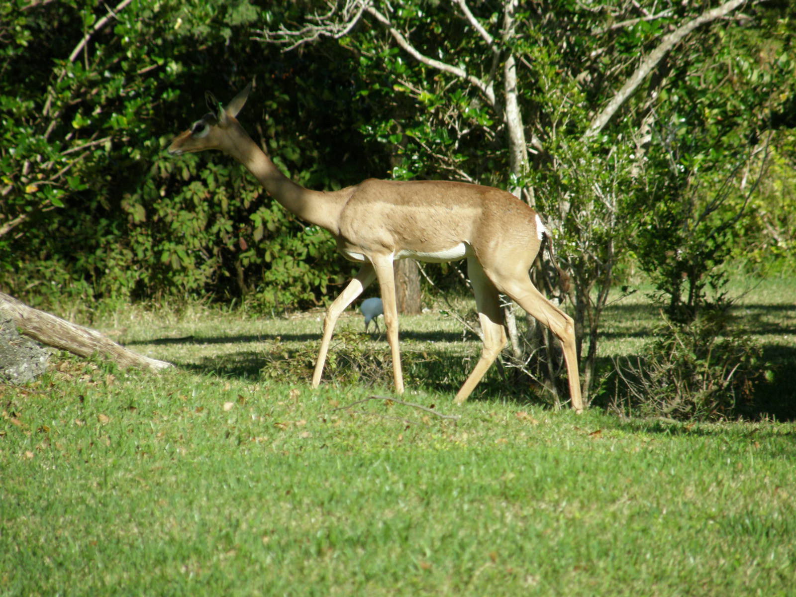 wpalm beach dec08 137