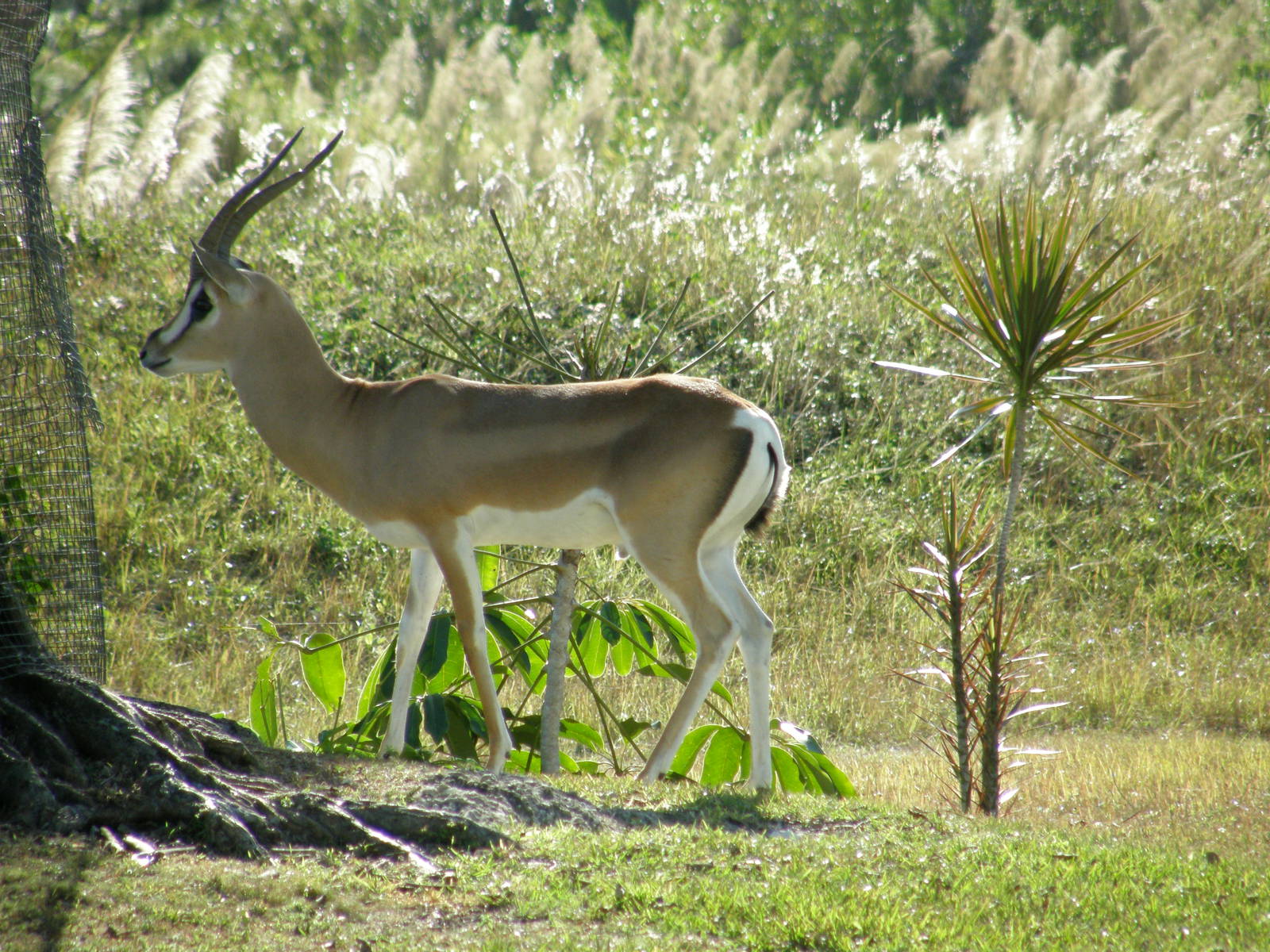 wpalm beach dec08 142