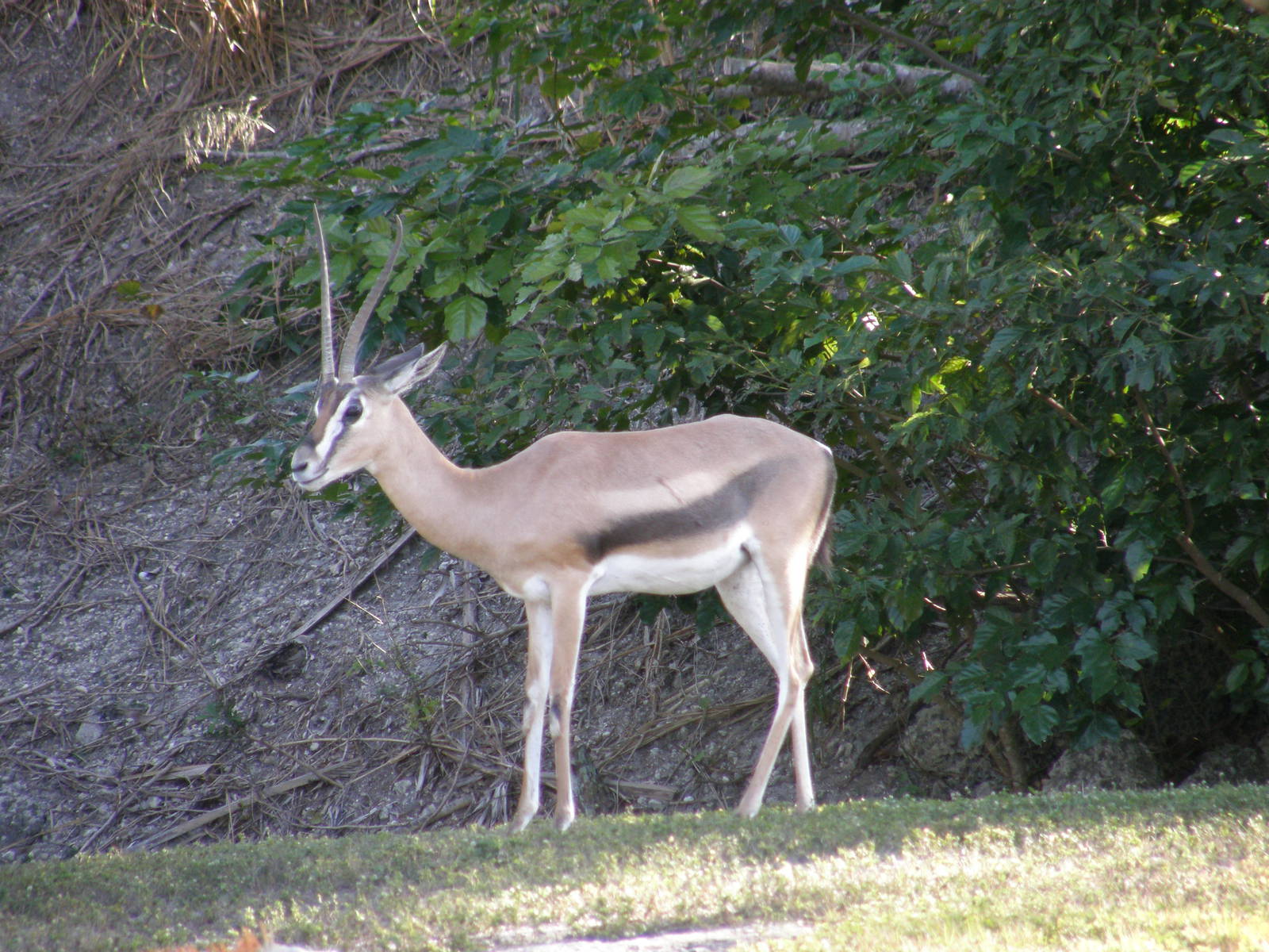 wpalm beach dec08 150