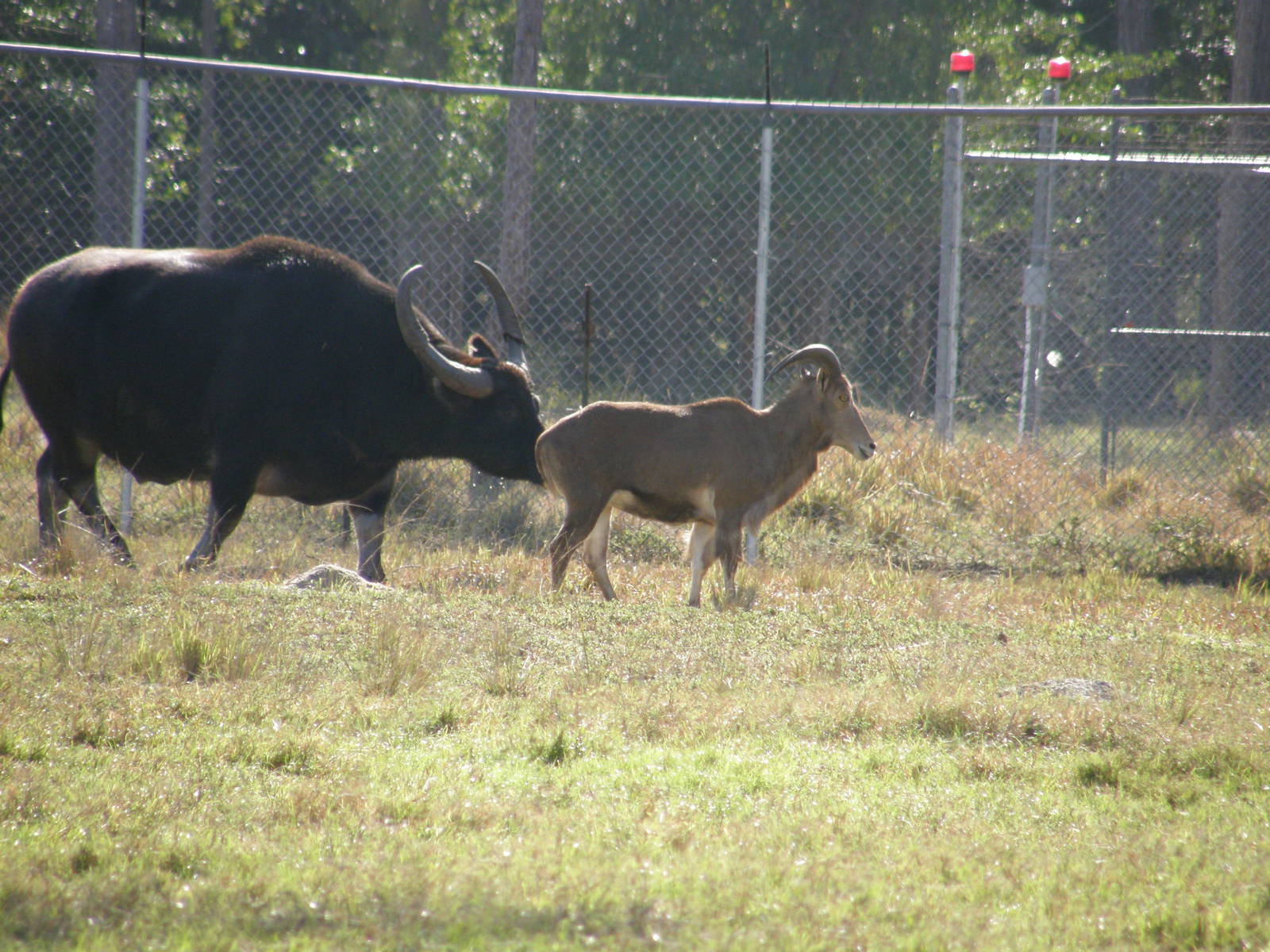 wpalm beach dec08 190