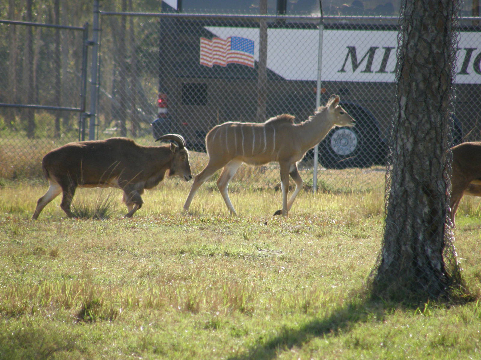 wpalm beach dec08 193