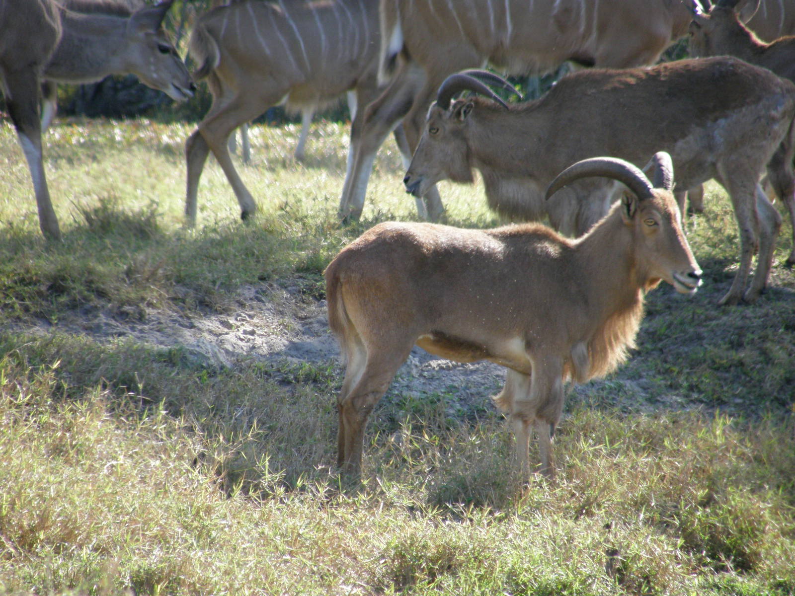 wpalm beach dec08 268