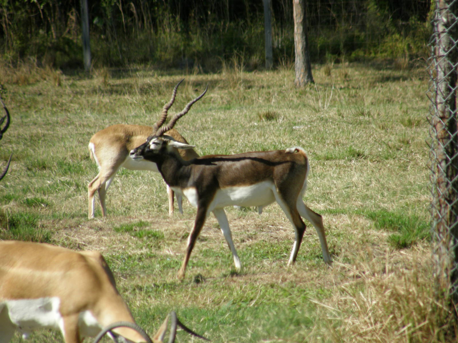 wpalm beach dec08 309