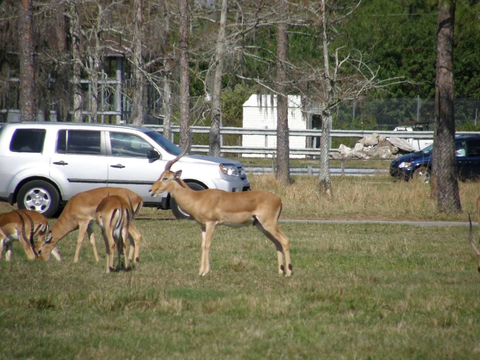 wpalm beach dec08 355