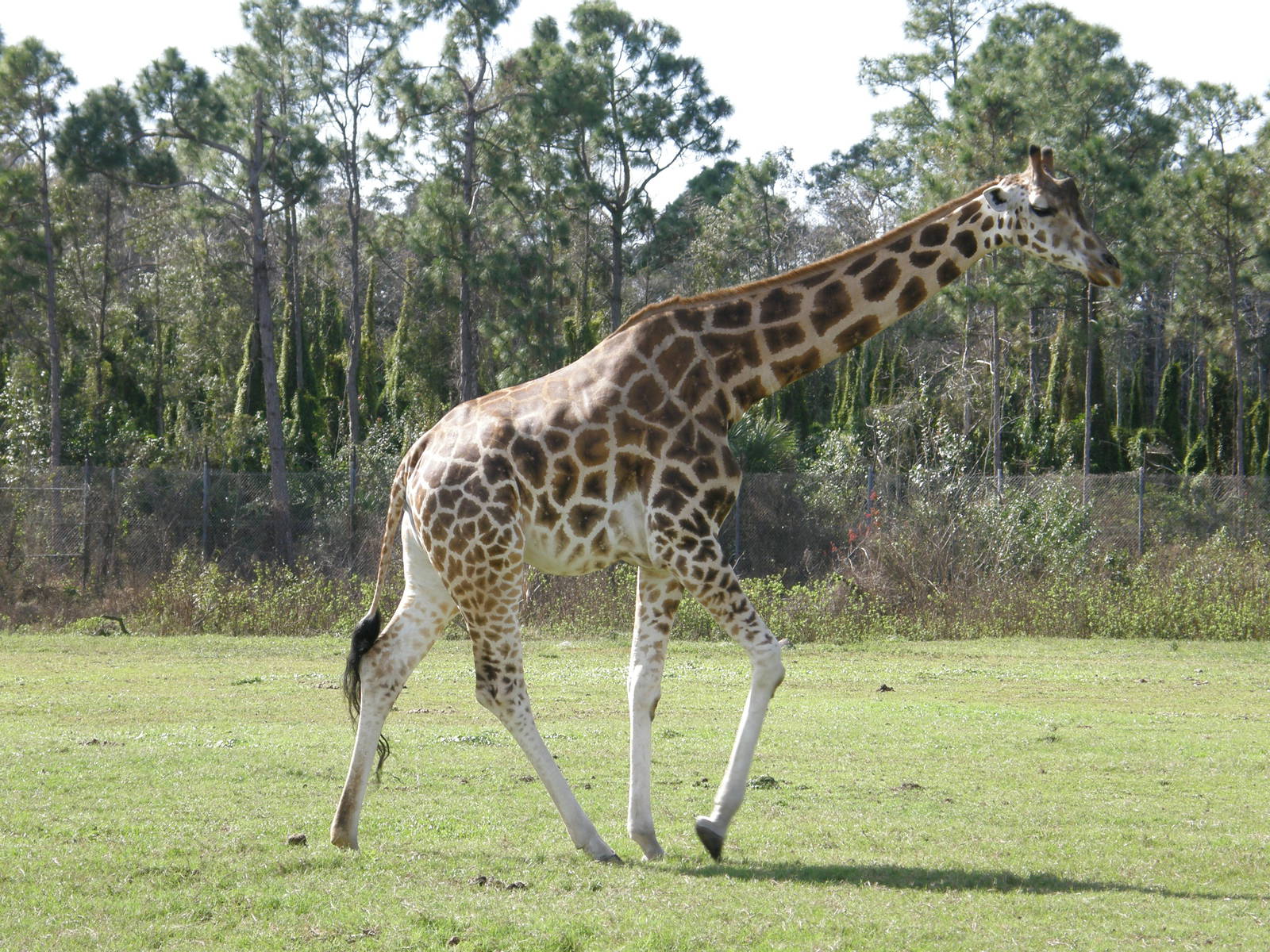 wpalm beach dec08 392