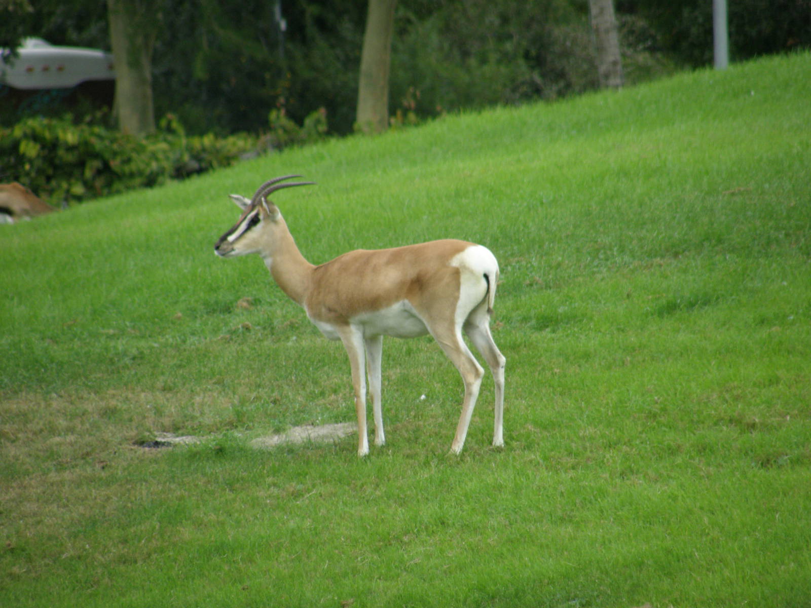 wpalm beach dec08 424